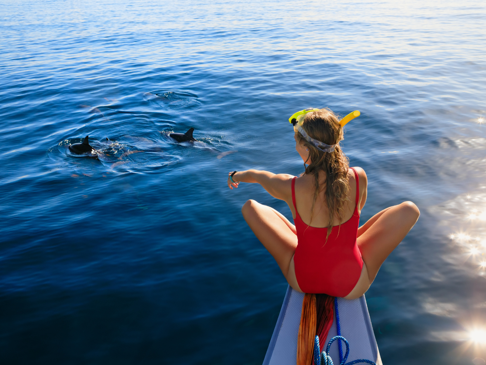 girl spots dolphins