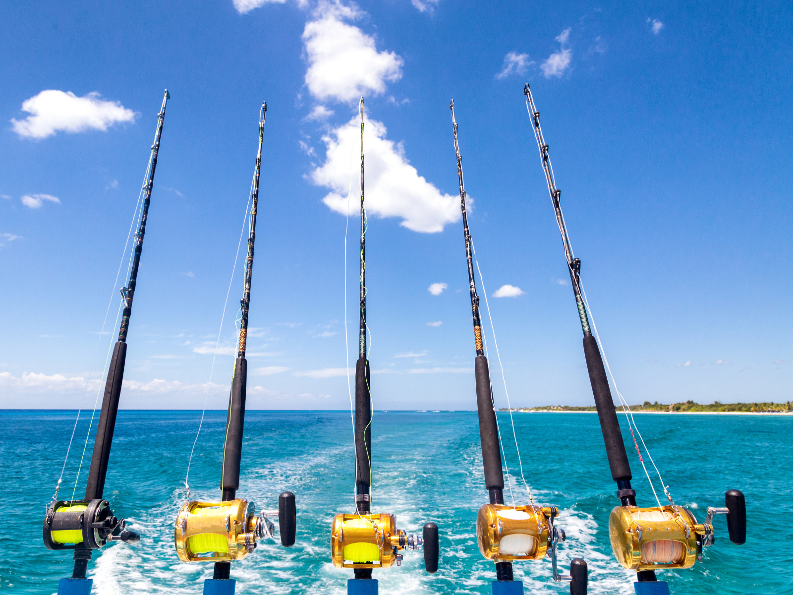fishing rods on ocean