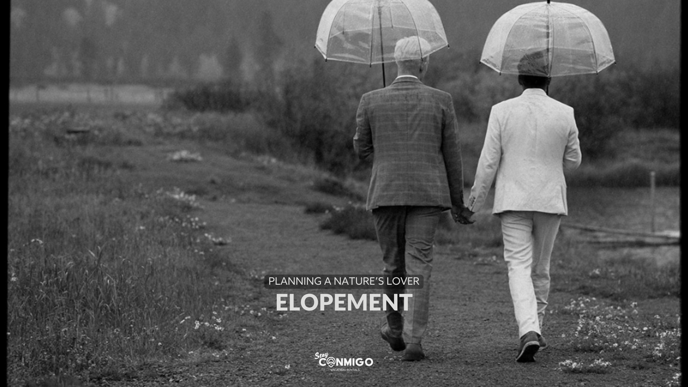 Plan Your Dream Elopement in the Heart of Nature