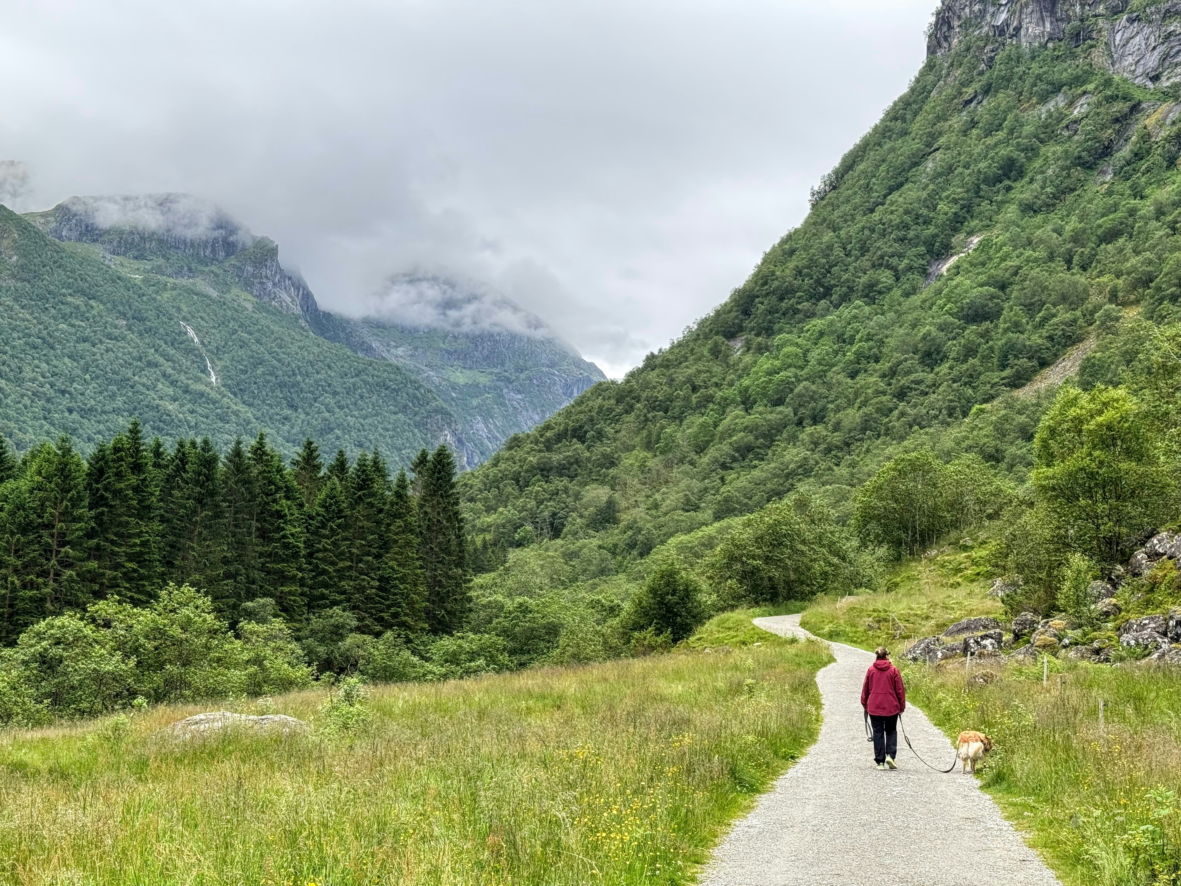 Person walking dog on a mountain valley trail