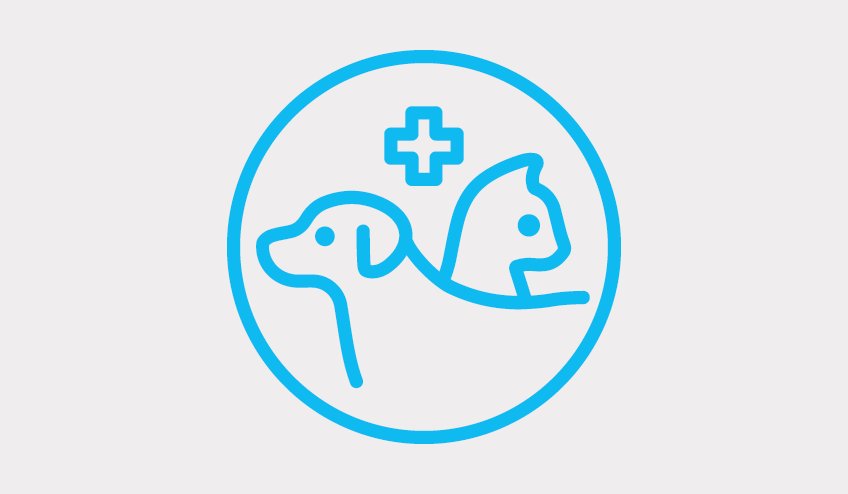 Veterinary care
