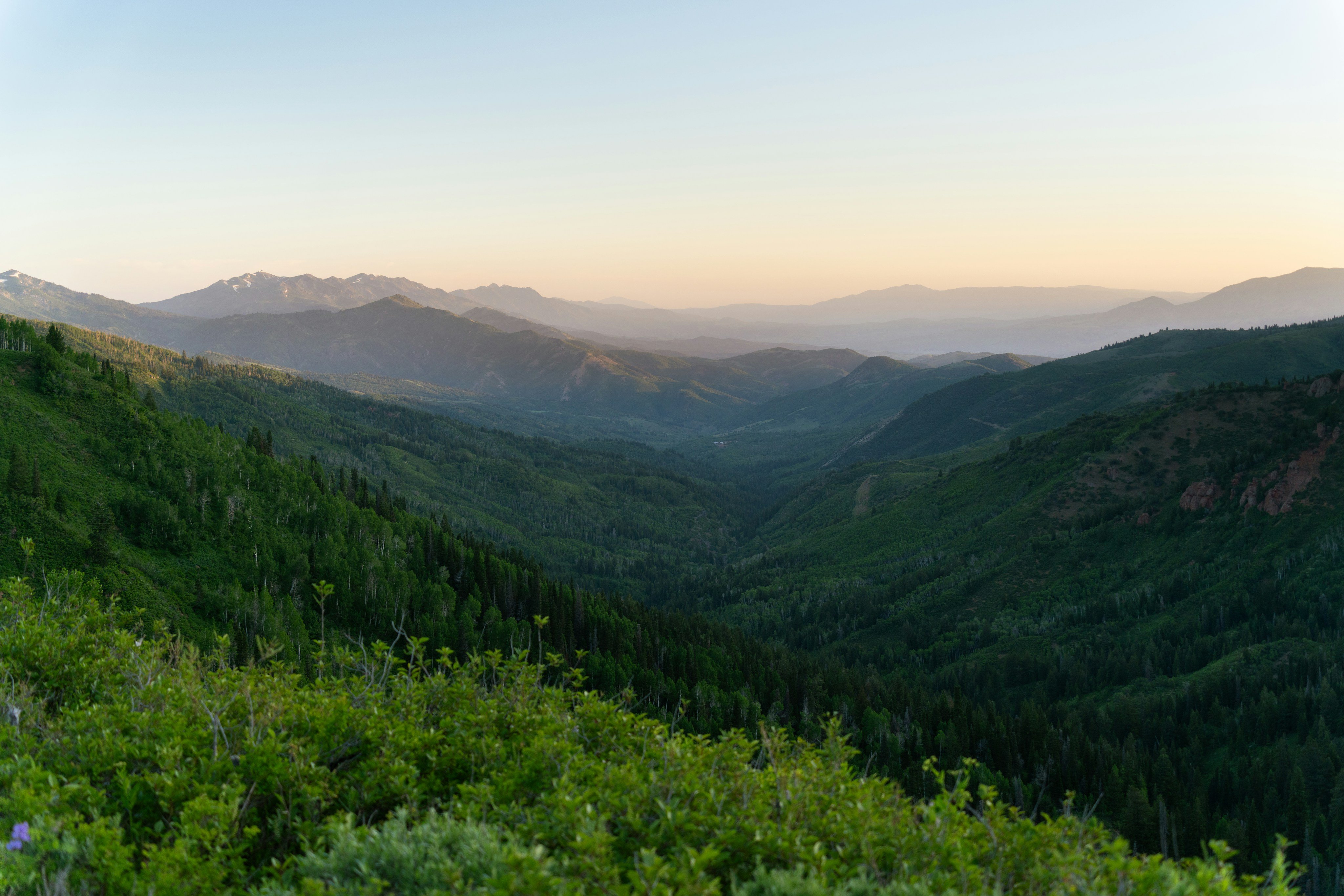 Wasatch mountain valley at golden hour