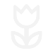 white flower icon