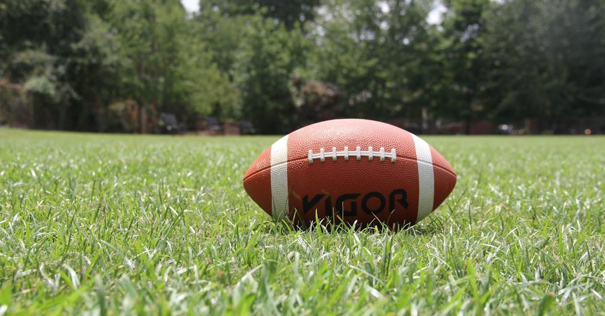 StayGainesville Football Weekend