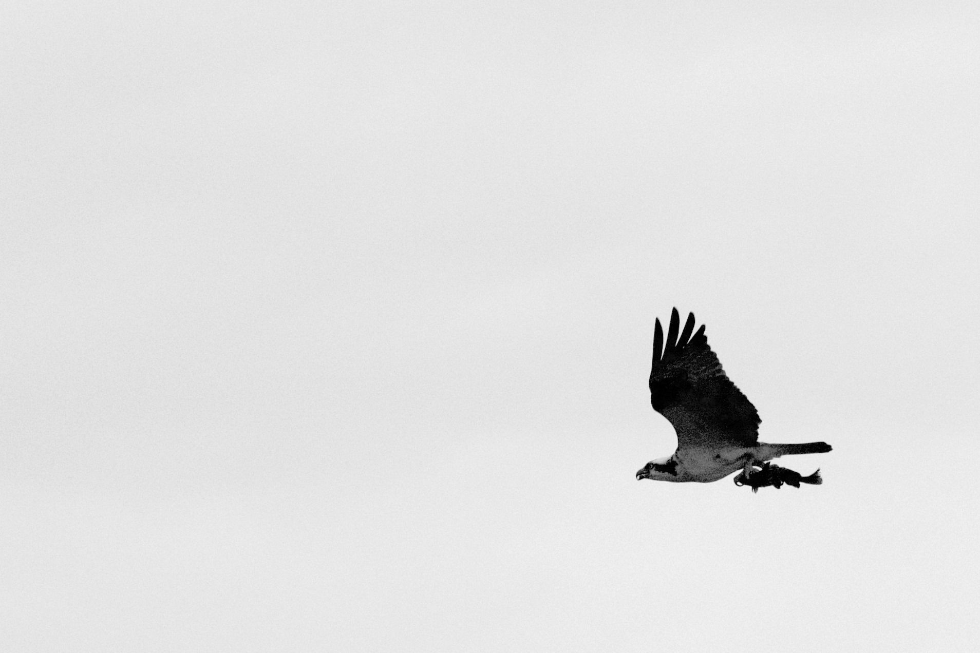 Sweetwater Wetlands Park: Photo Credit to Susannah Peddie from StayGainesville