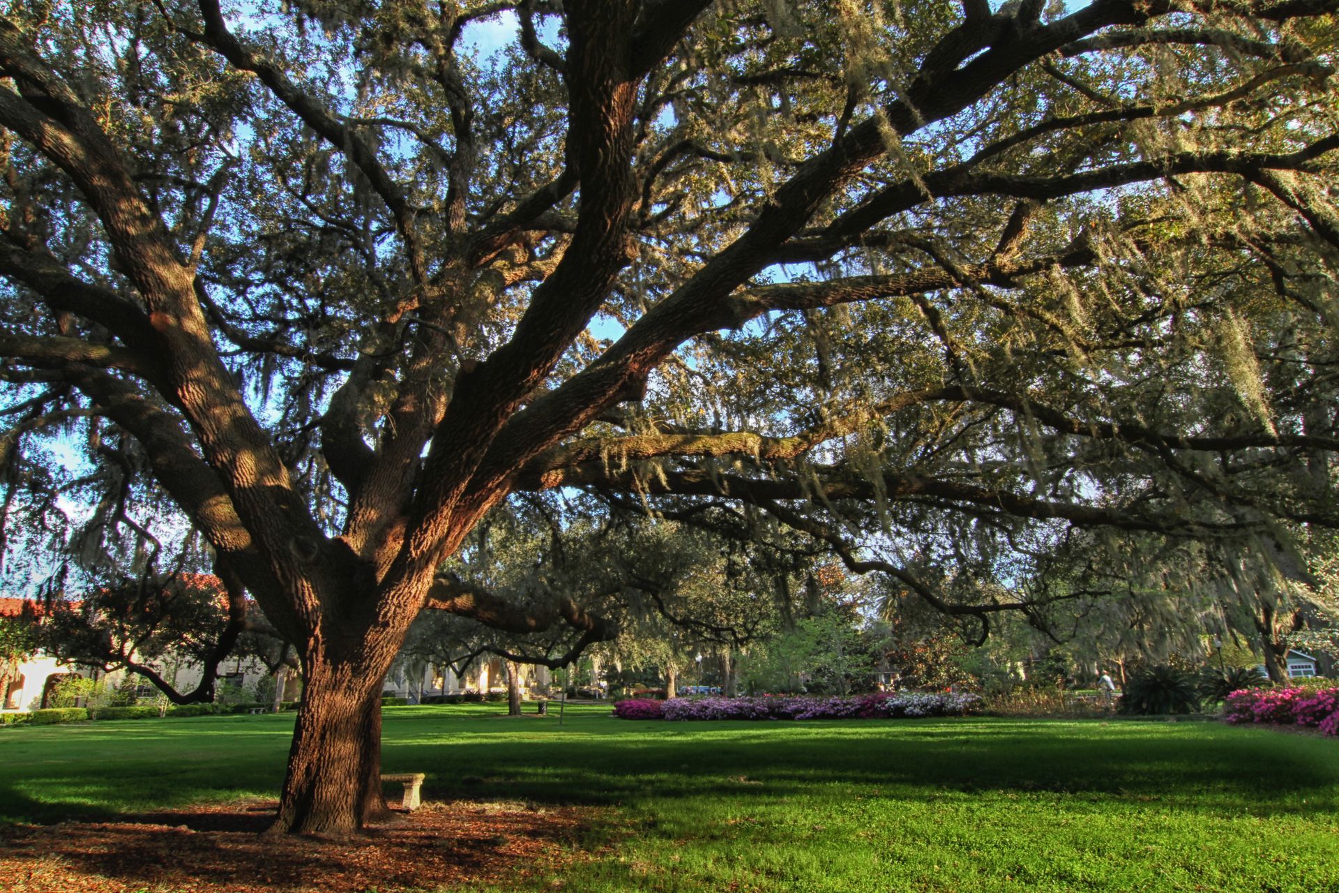 The Thomas Center in Gainesville, FL. Activities while staying in a StayGainesville short-term rental property.