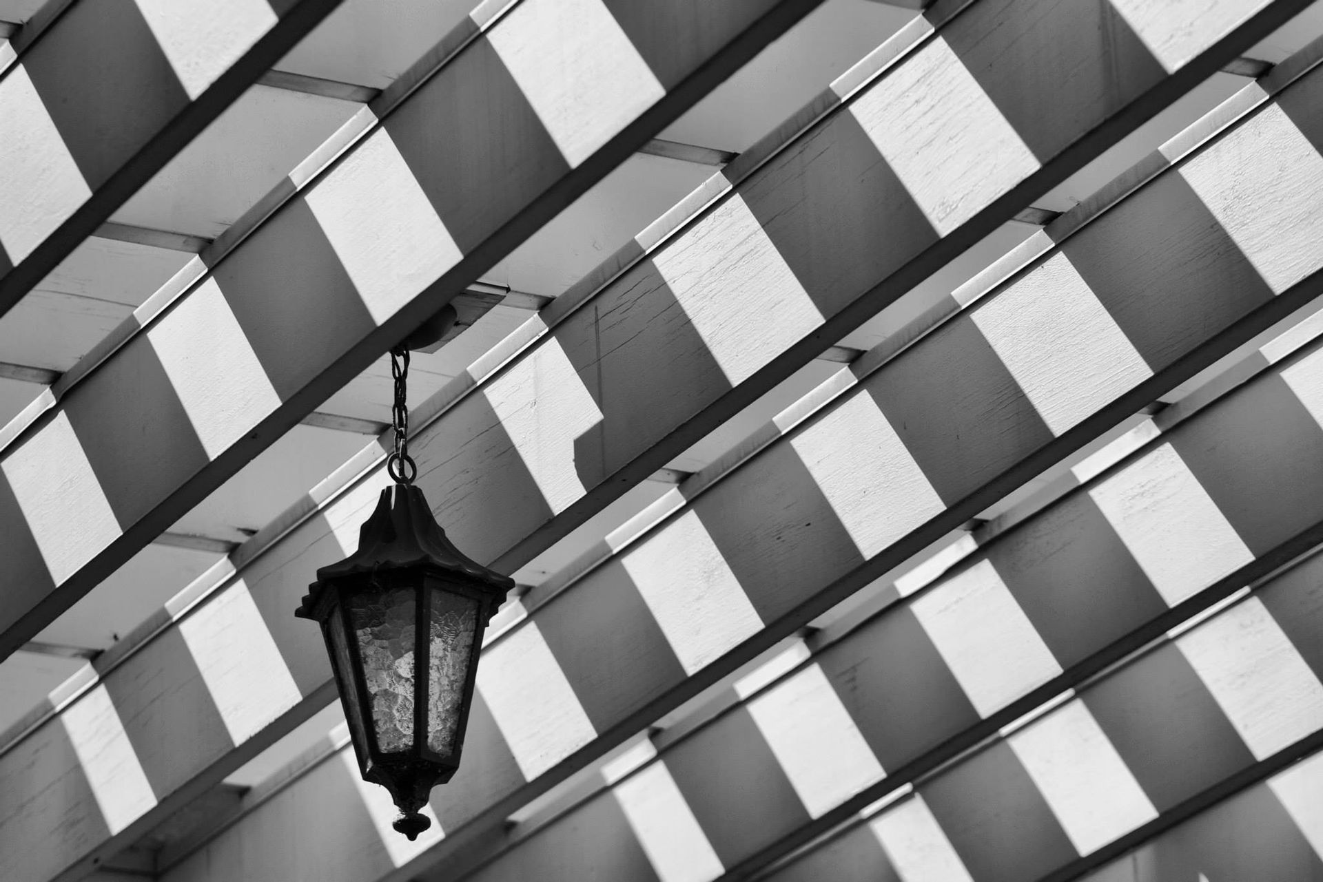 Thomas center art and history