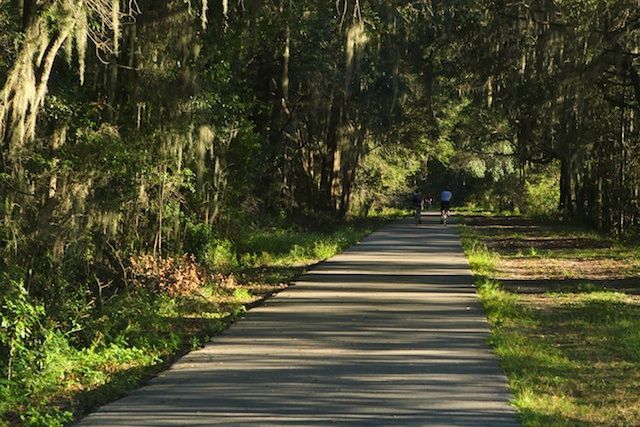 Hawthorne Trail in Gainesville, FL
