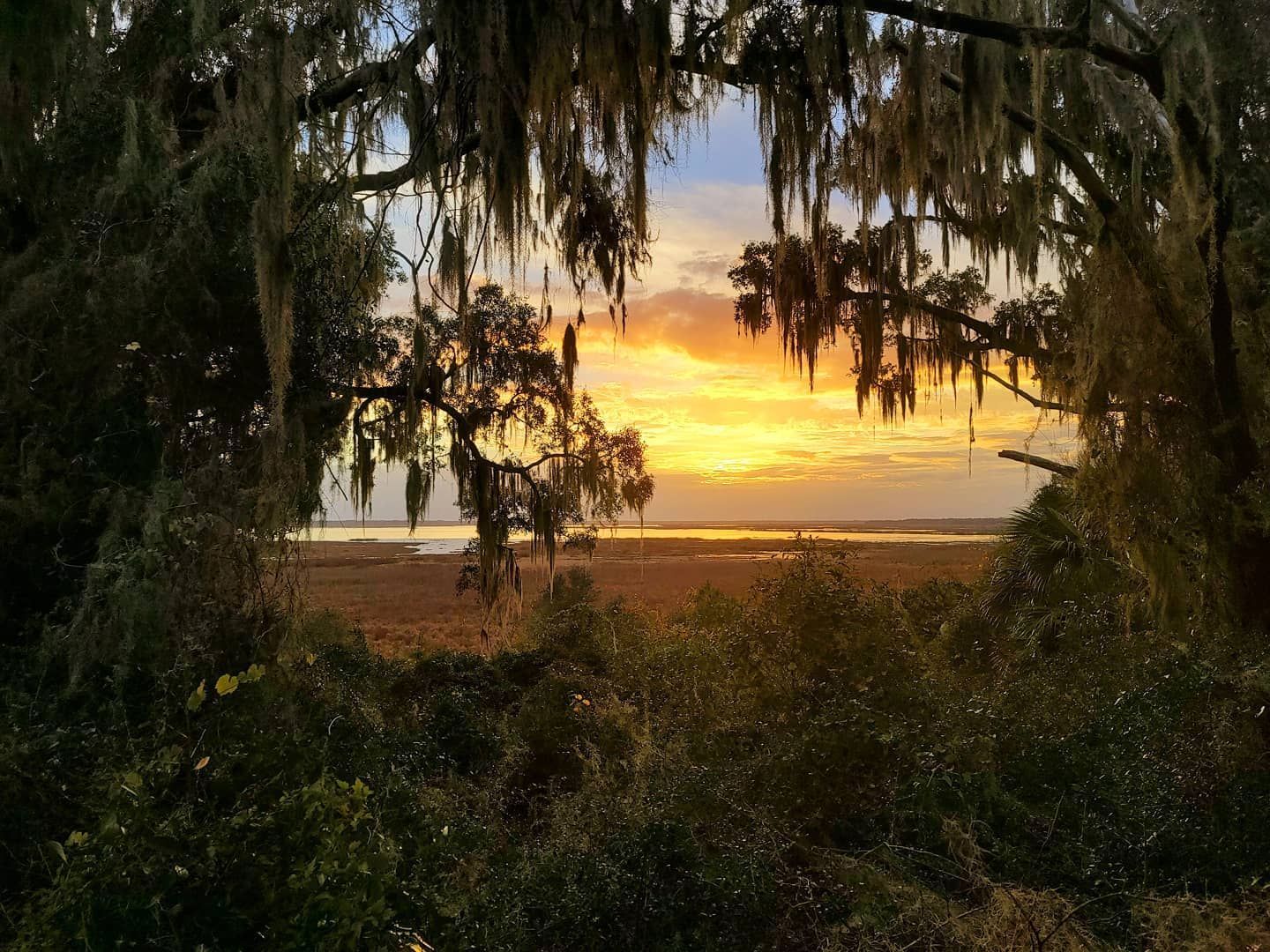 Hawthorne Trail in Gainesville, FL