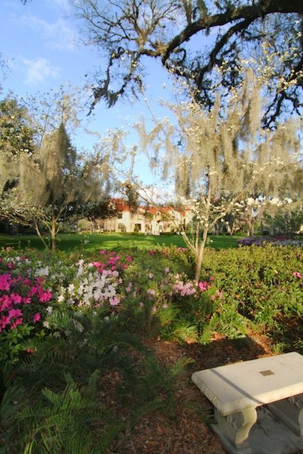 The Thomas Center in Gainesville, FL. Activities while staying in a StayGainesville short-term rental property.