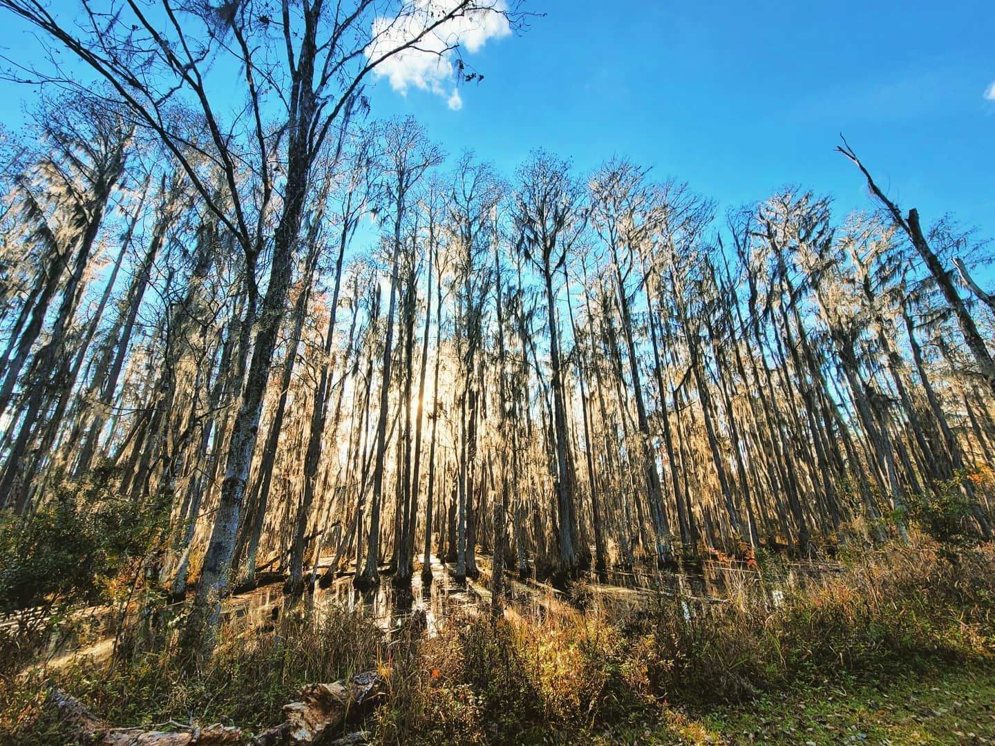 Hawthorne Trail in Gainesville, FL