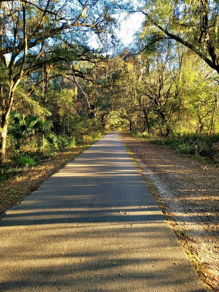 Nature sights in Gainesville, FL captured by Susannah Peddie, owner of StayGainesville.com.