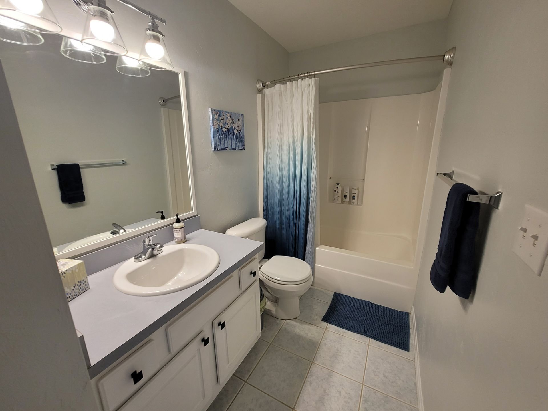 3 bed/2 bath home in a quiet neighborhood - Gainesville FL