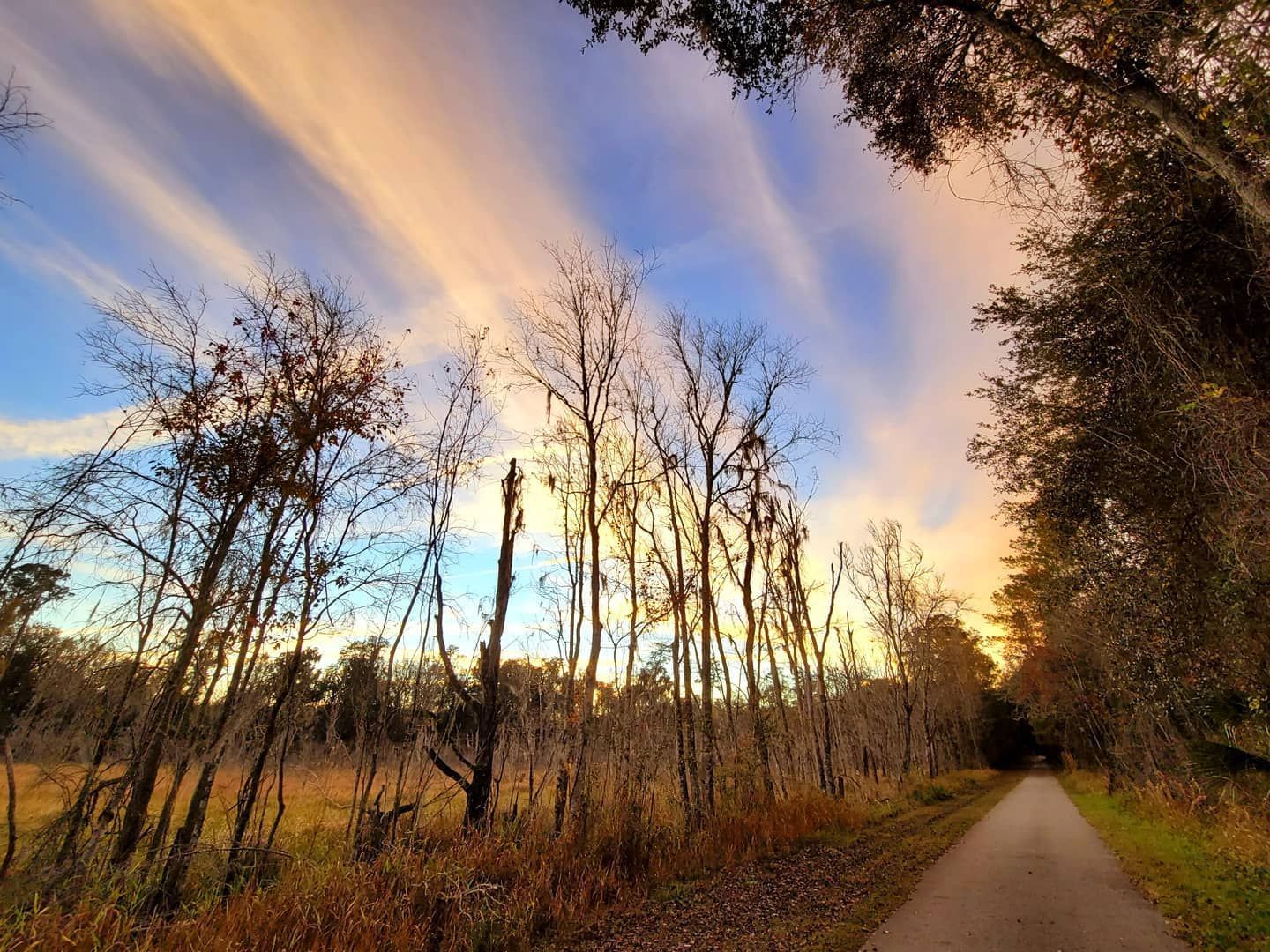 Hawthorne Trail in Gainesville, FL