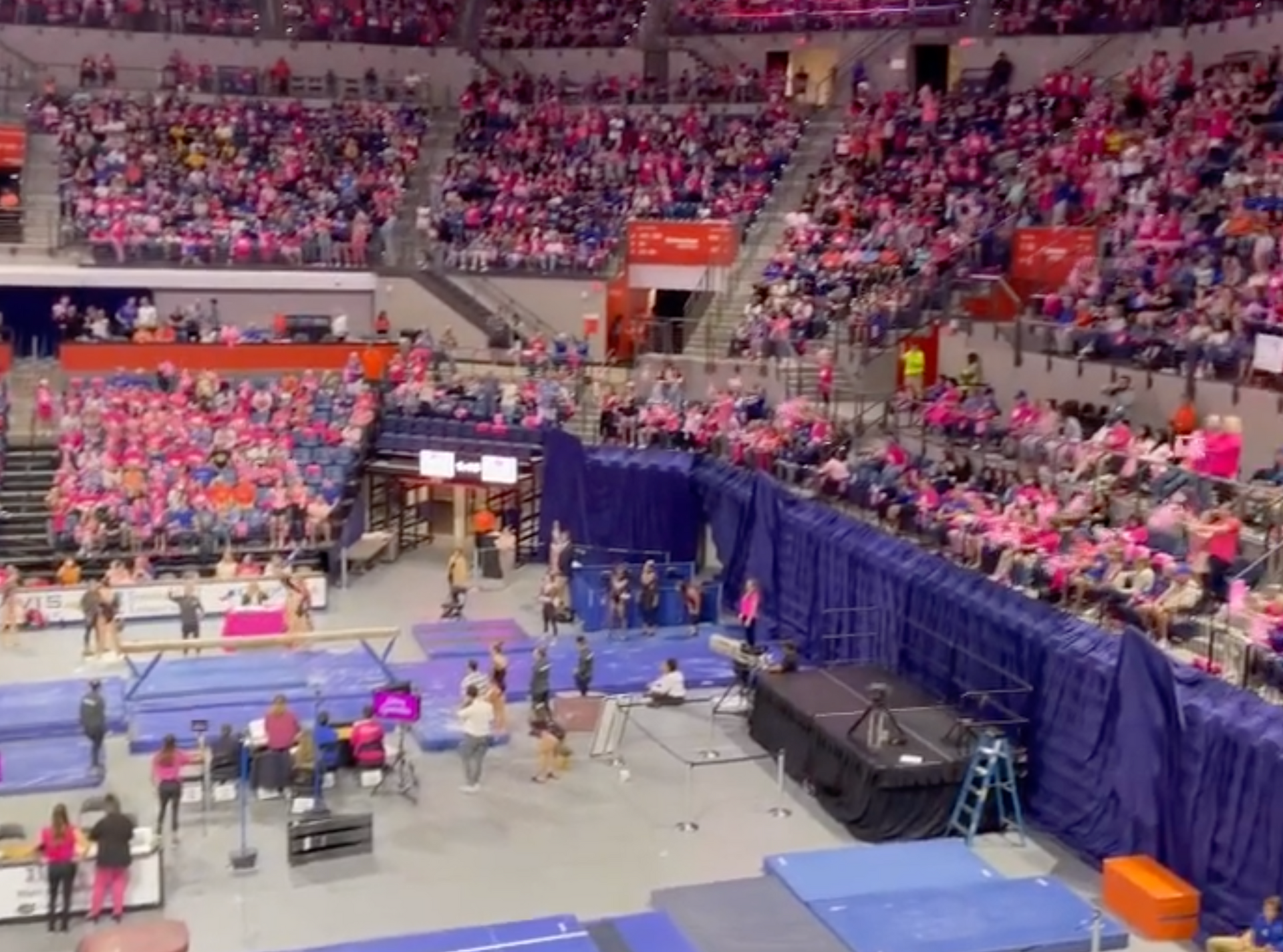 THE DYNAMIC WORLD OF GATOR WOMEN'S GYMNASTICS