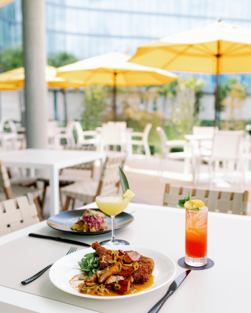 2 entrees on a table overlooking the outdoor seating at Covey Kitchen. The table also has two cocktails.