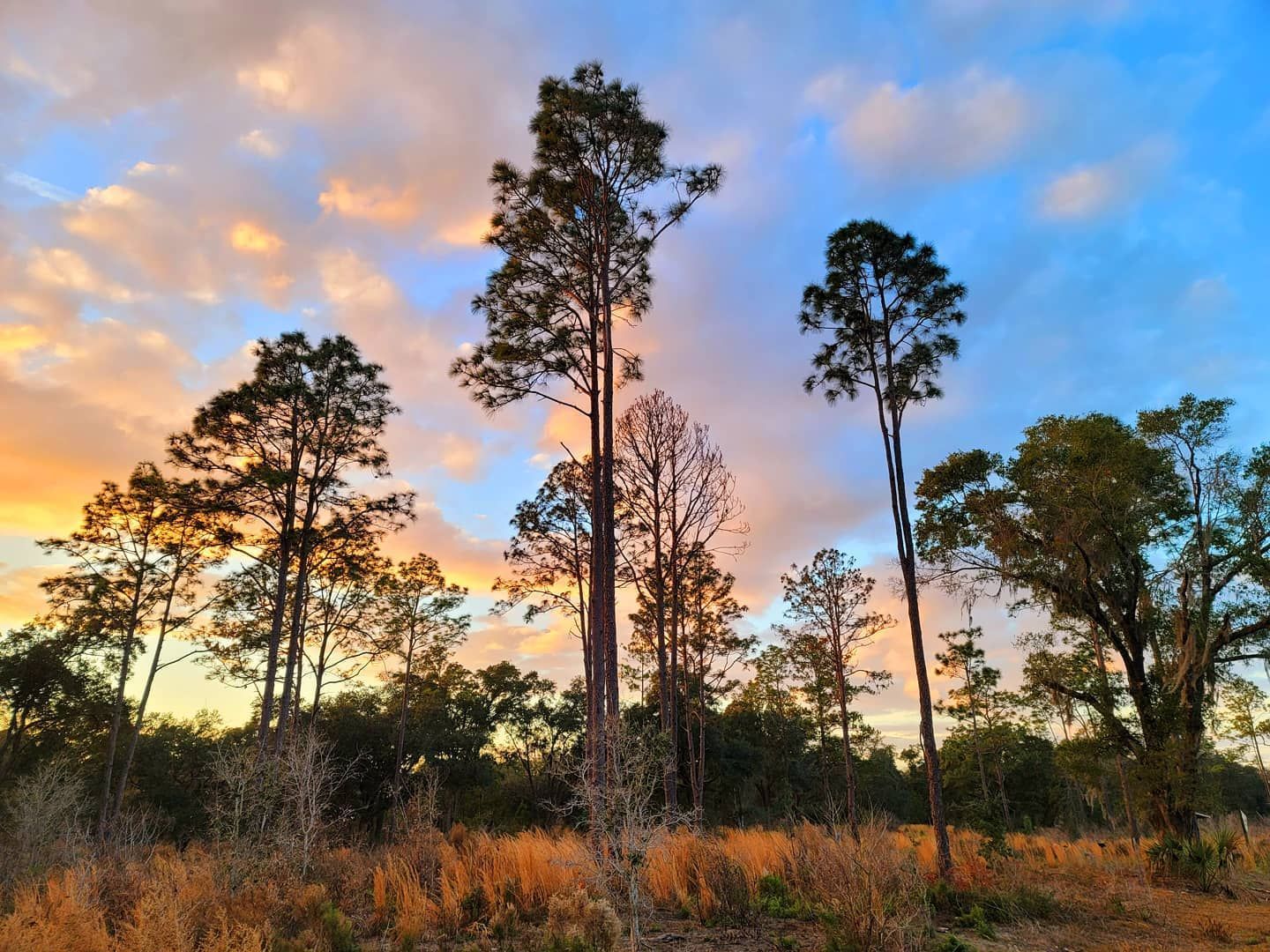 Hawthorne Trail in Gainesville, FL