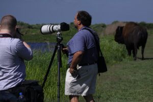 Paynes Prairie