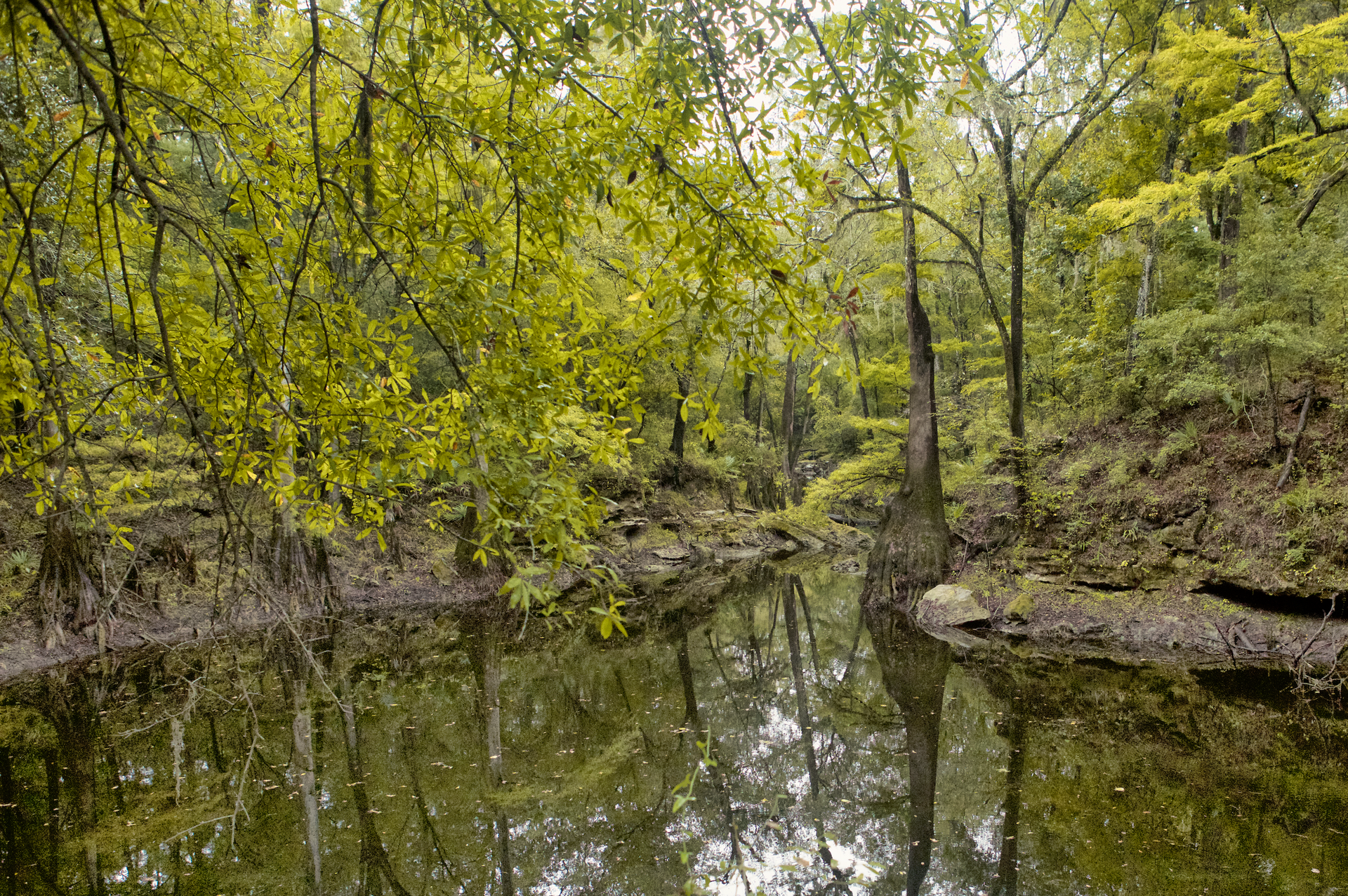 Things To Do in Gainesville FL