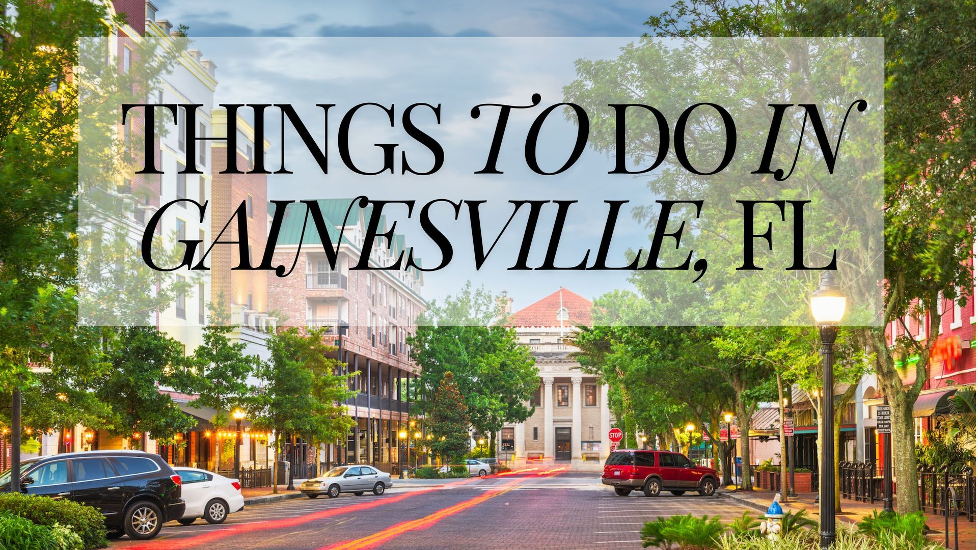 Things to do in Gainesville Florida this week!