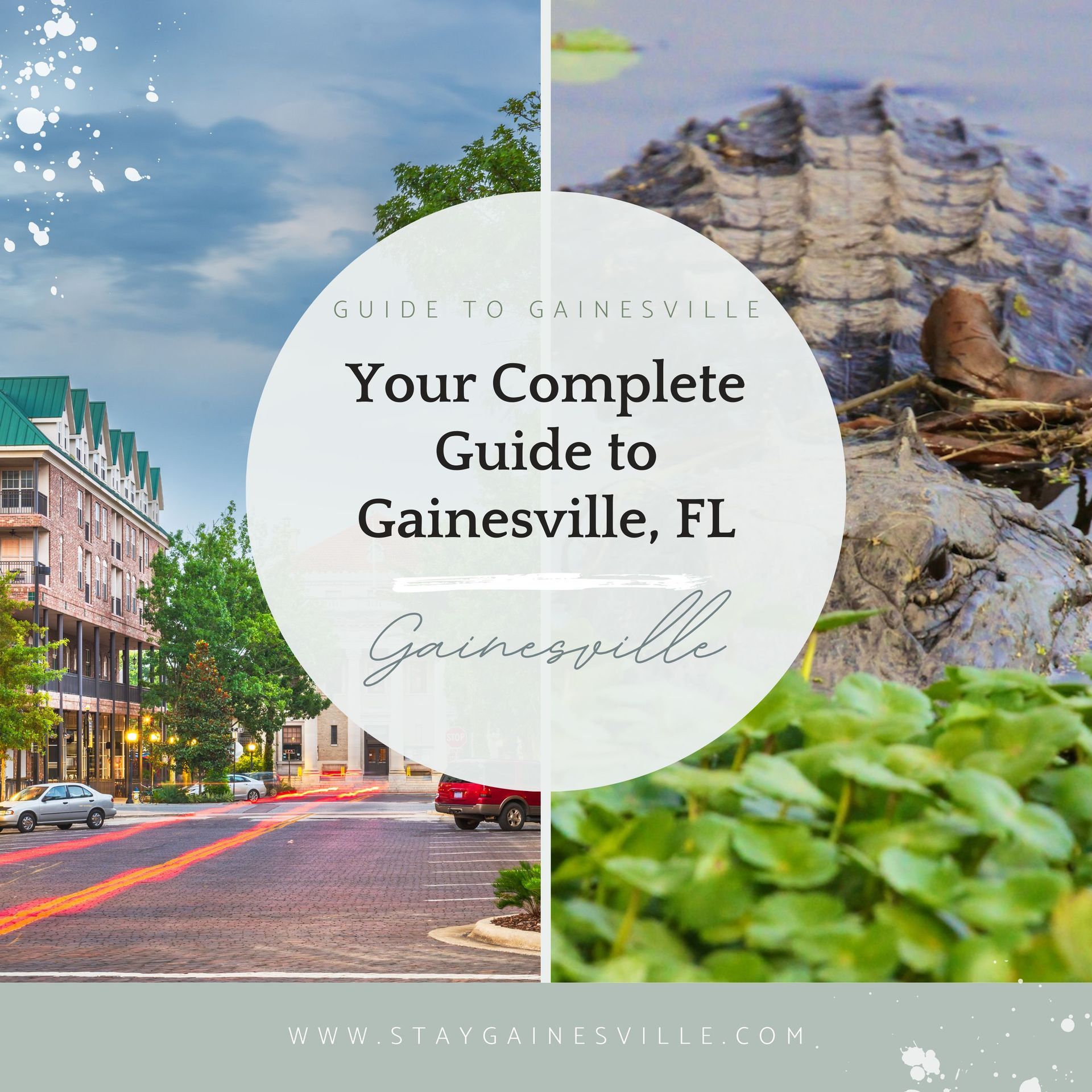 Guide to Gainesville, FL