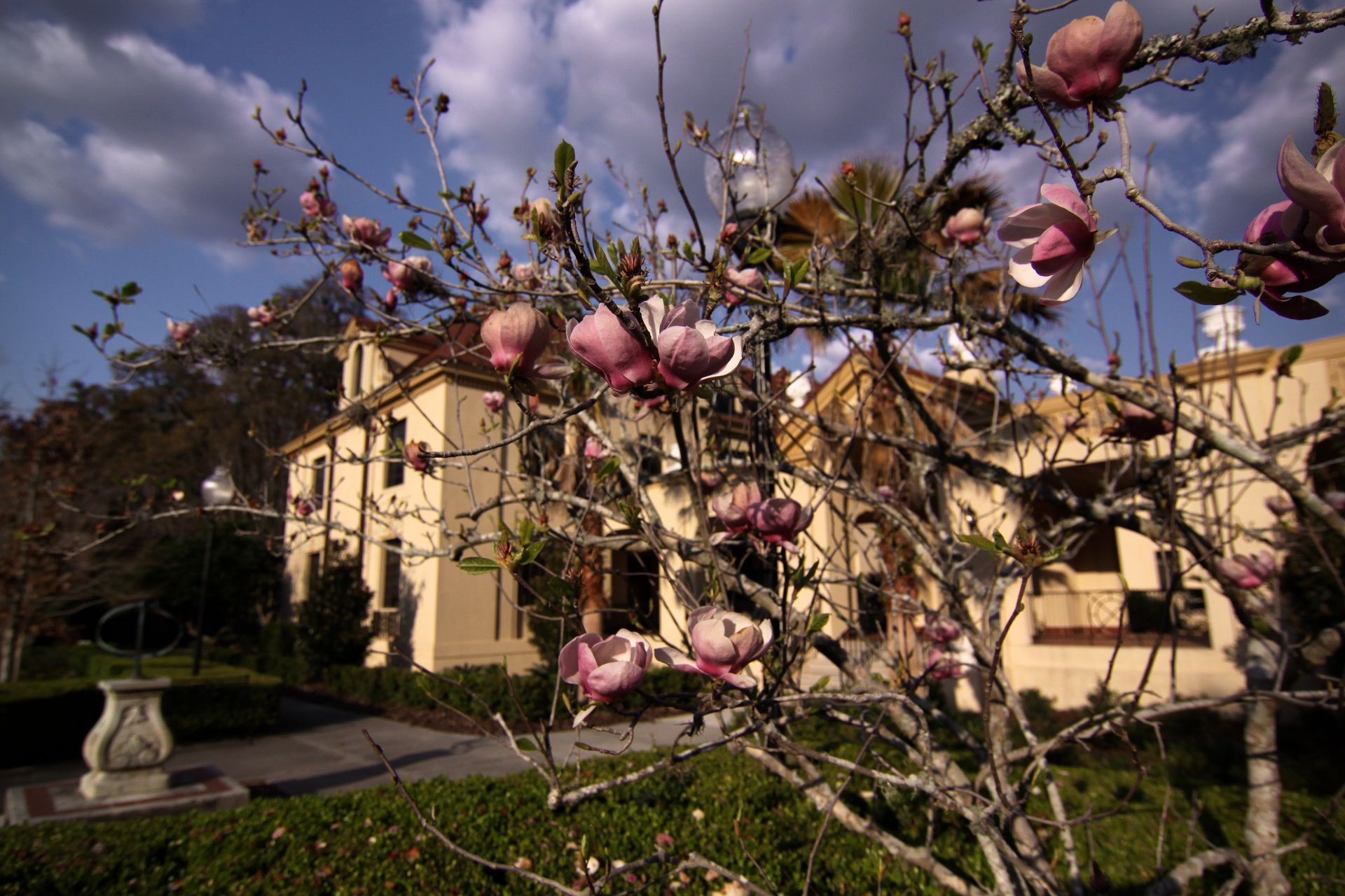 The Thomas Center in Gainesville, FL. Activities while staying in a StayGainesville short-term rental property.