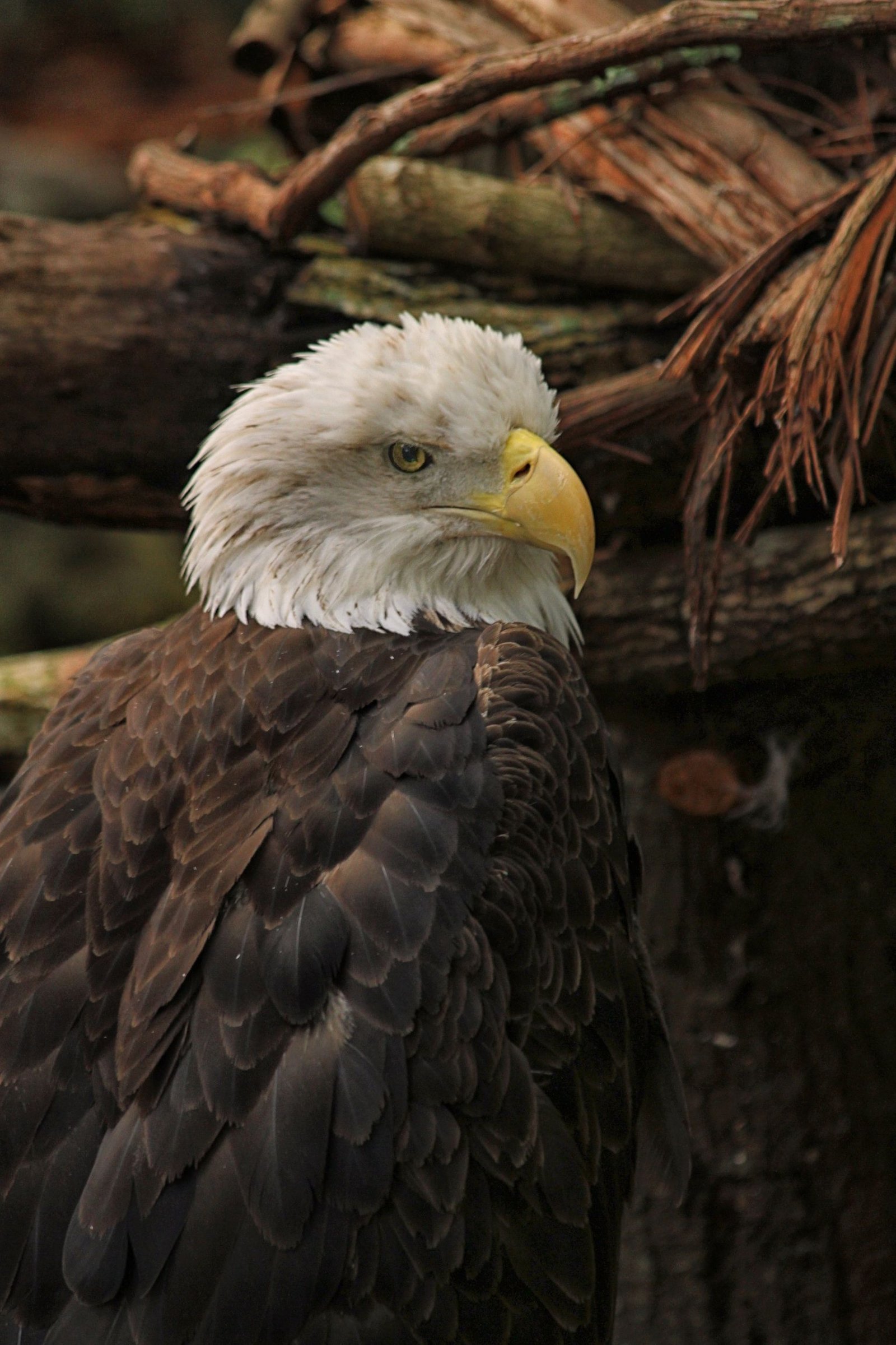 Santa Fe Zoo by StayGainesville