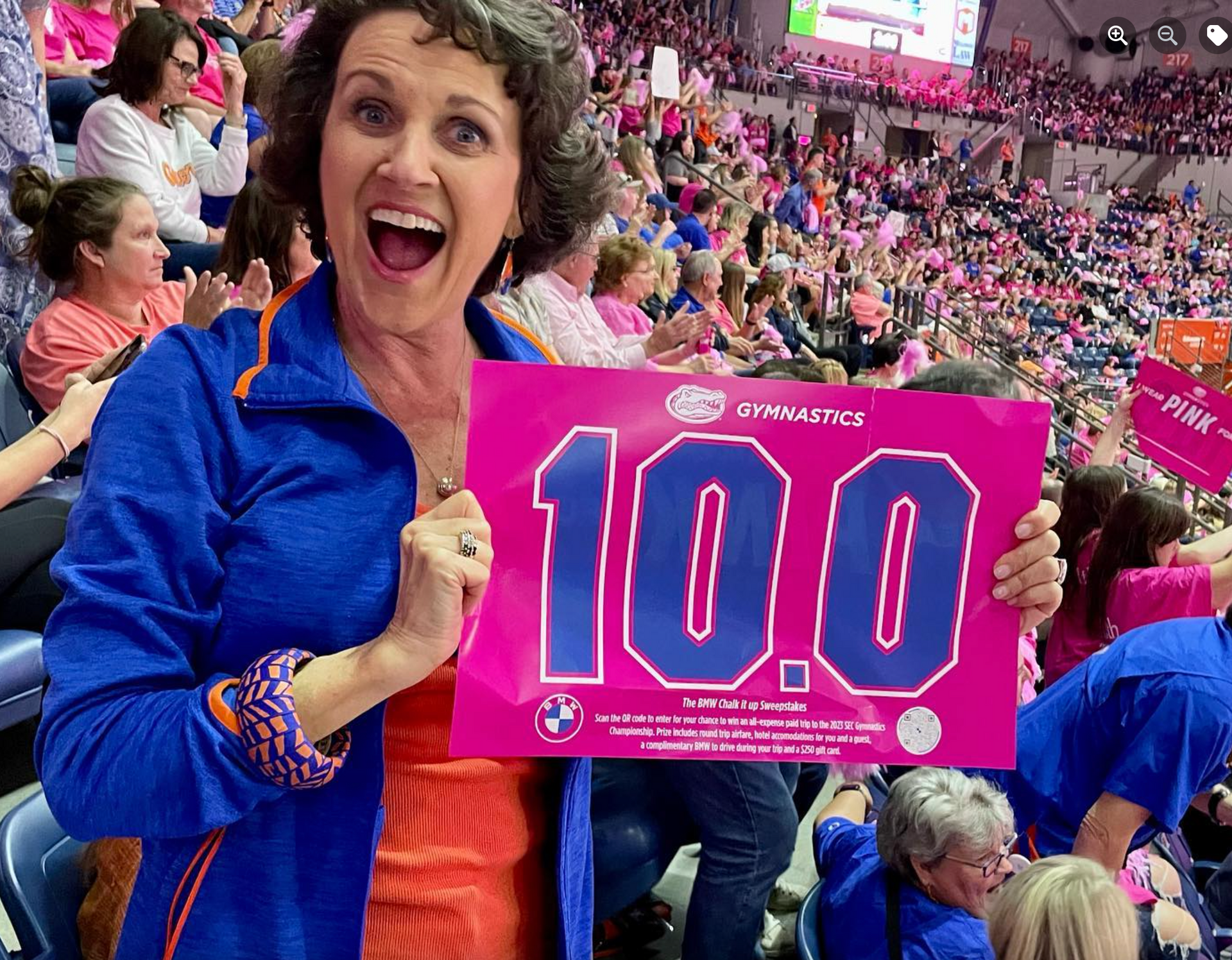 THE DYNAMIC WORLD OF GATOR WOMEN'S GYMNASTICS