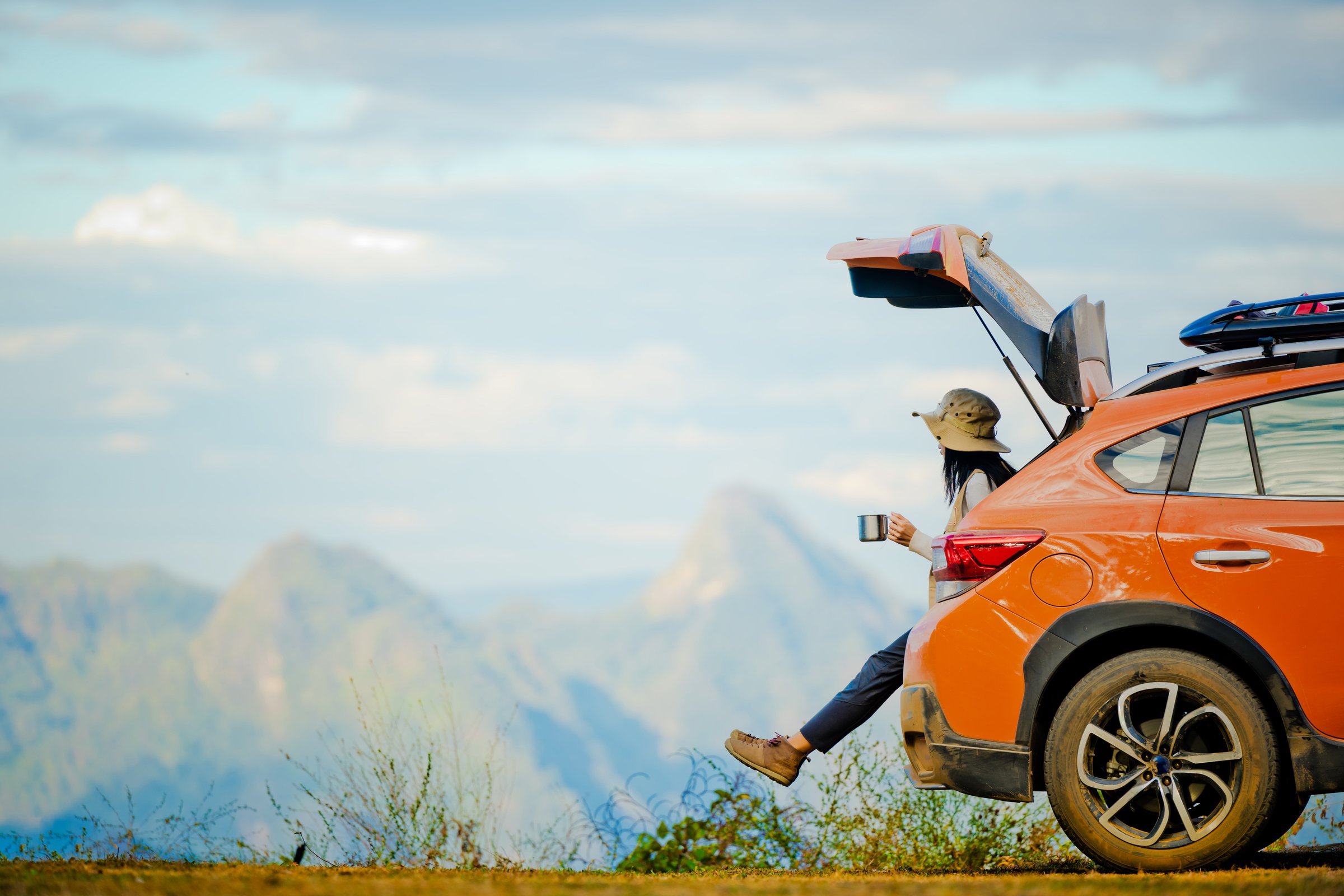 Traveler in Motion