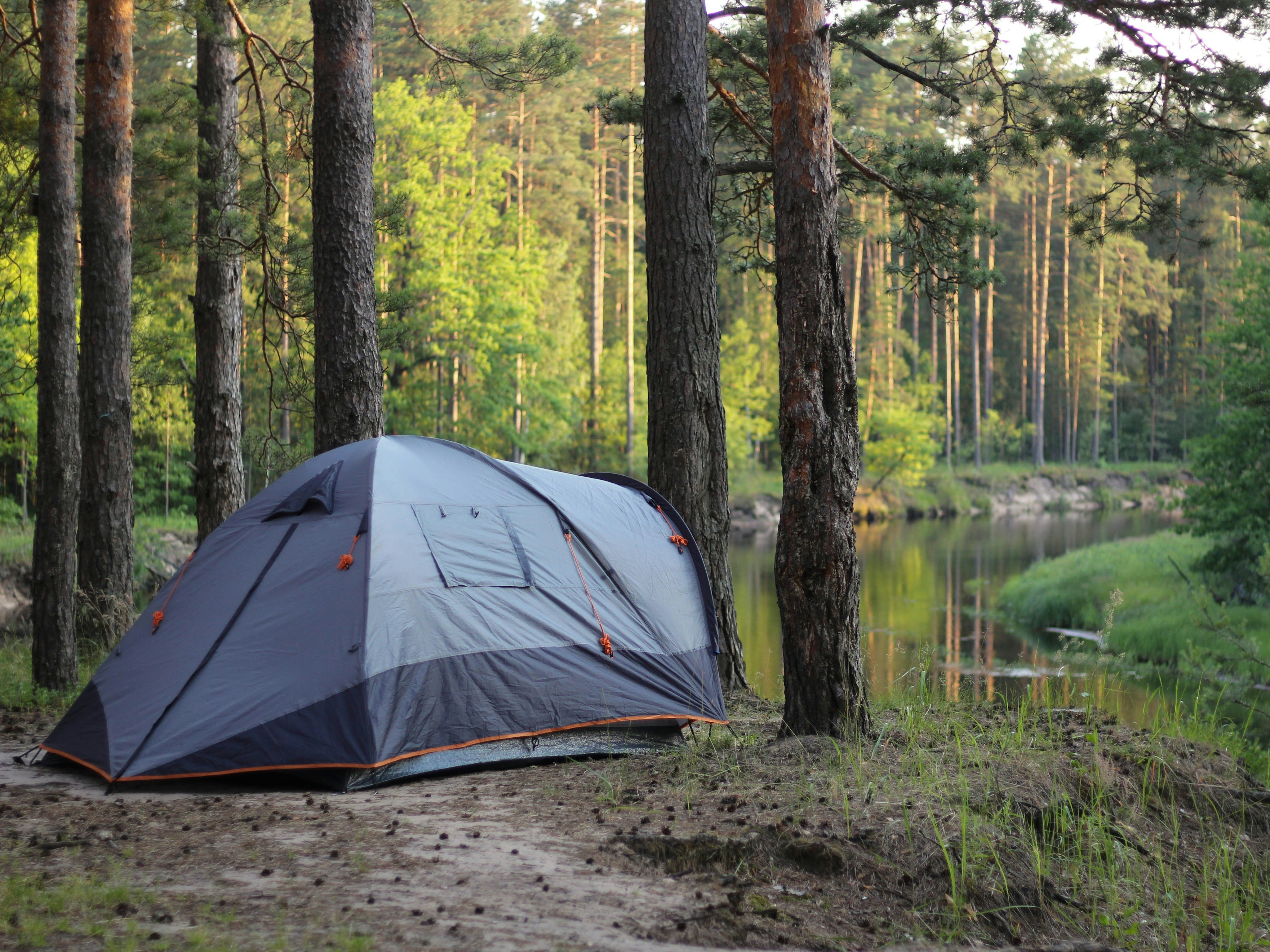 Tent pitched among tall pines beside a calm river