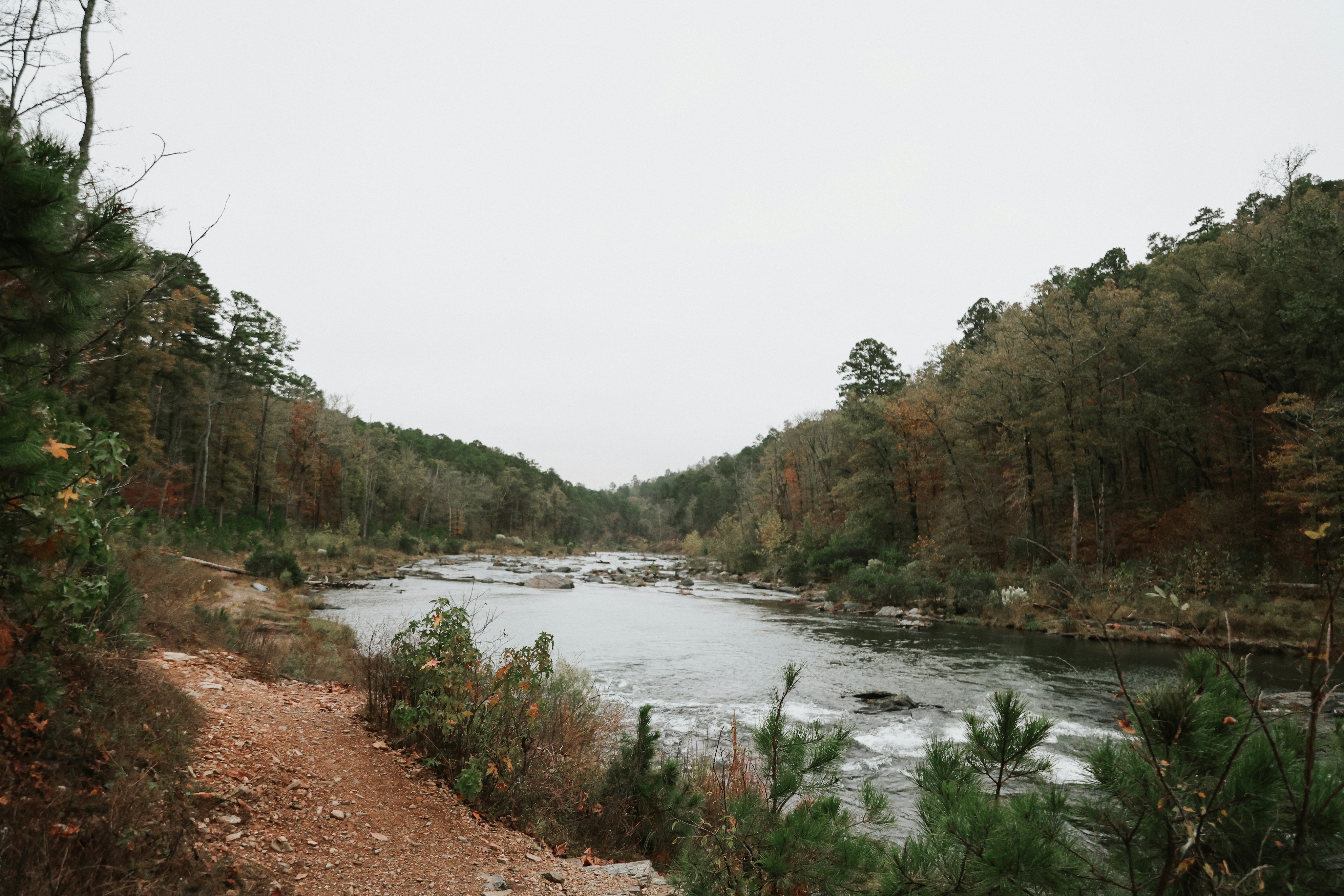 Mountain Fork River winding through autumn pine forest near Broken Bow, Oklahoma