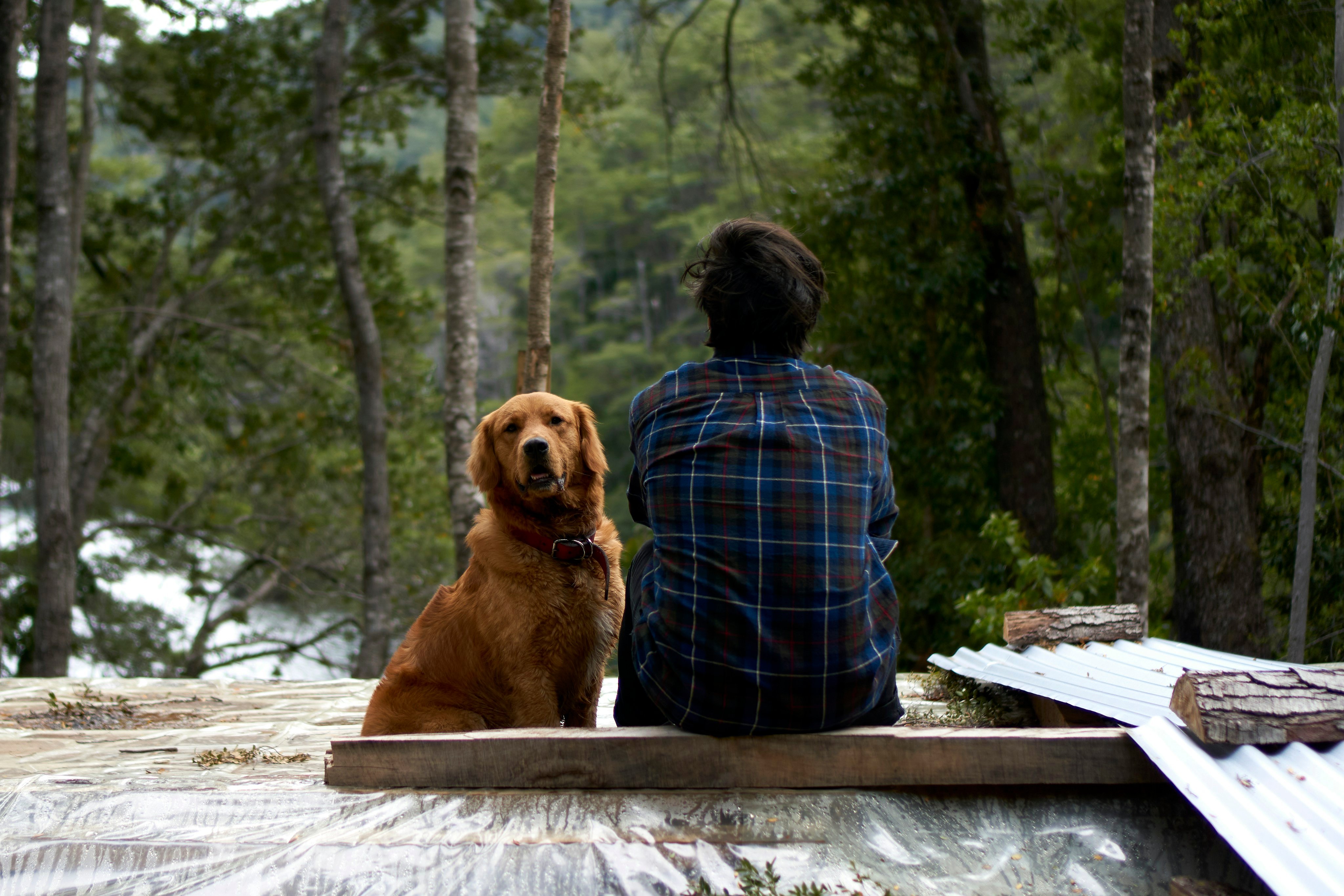 Person and golden retriever sitting on a forest deck together