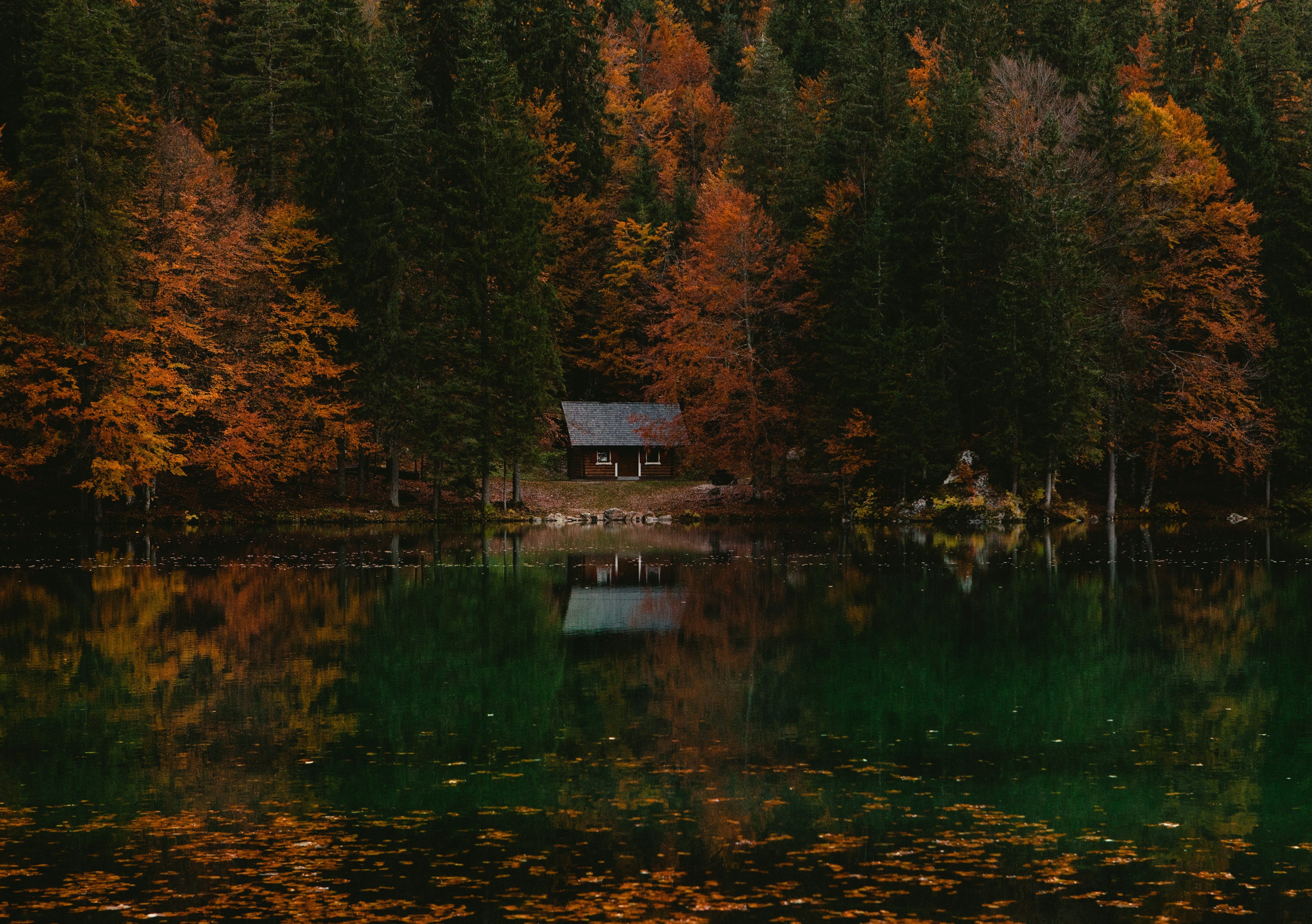 Cabin reflected in still lake surrounded by autumn forest