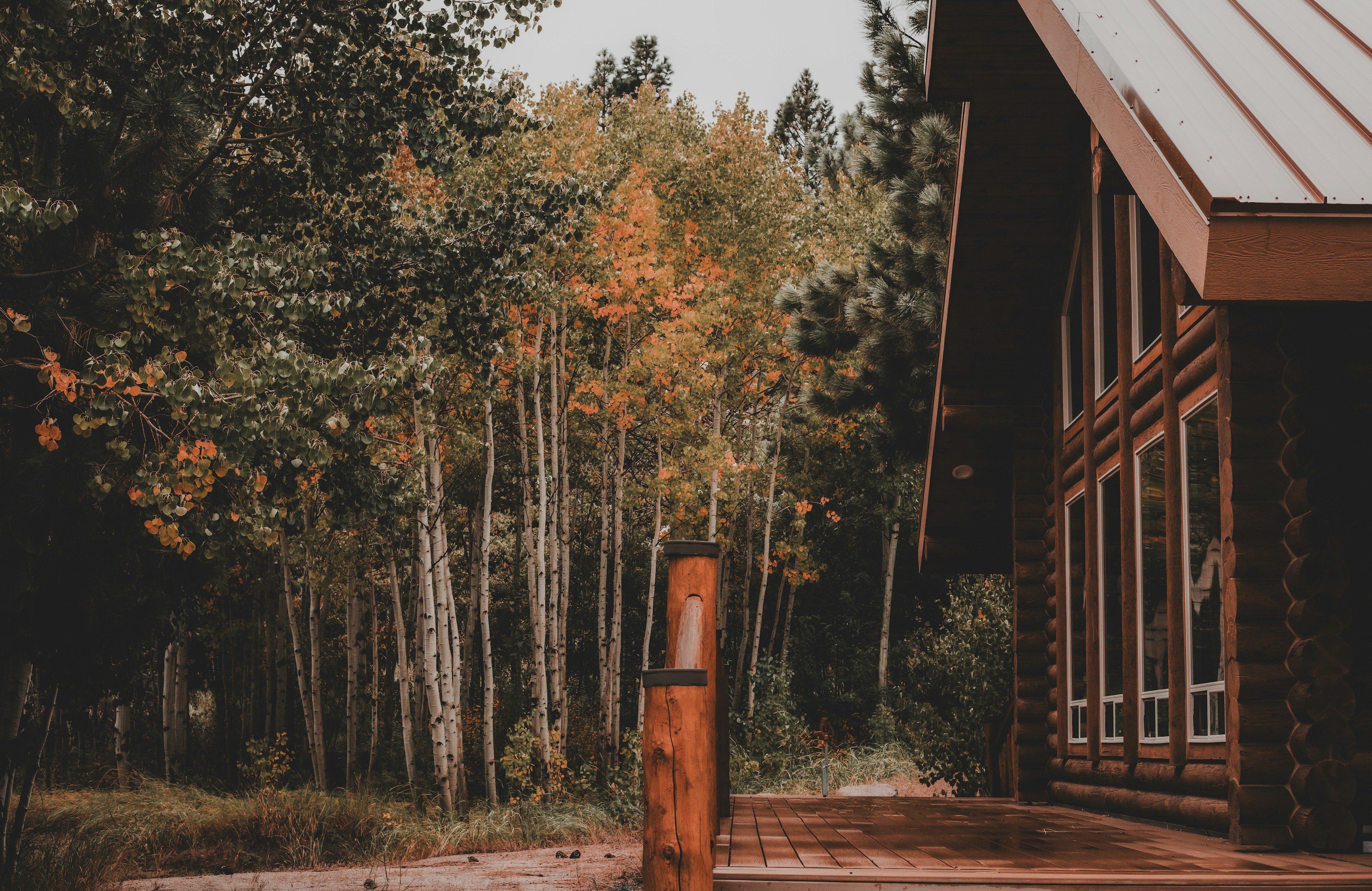 A-frame cabin on a wooded deck surrounded by autumn aspens in fall color