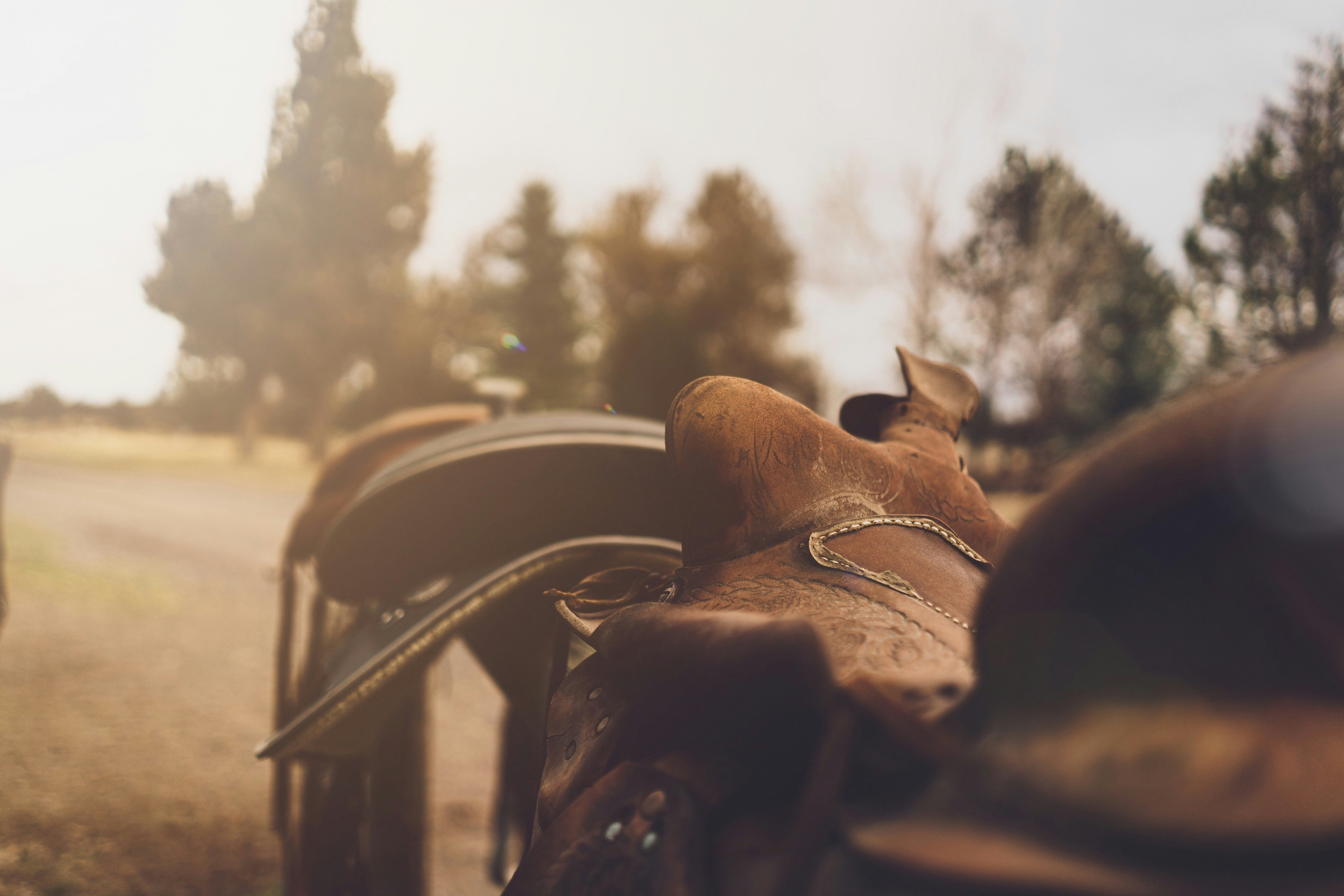 Worn leather saddle resting on a fence rail in afternoon light, Wyoming ranch