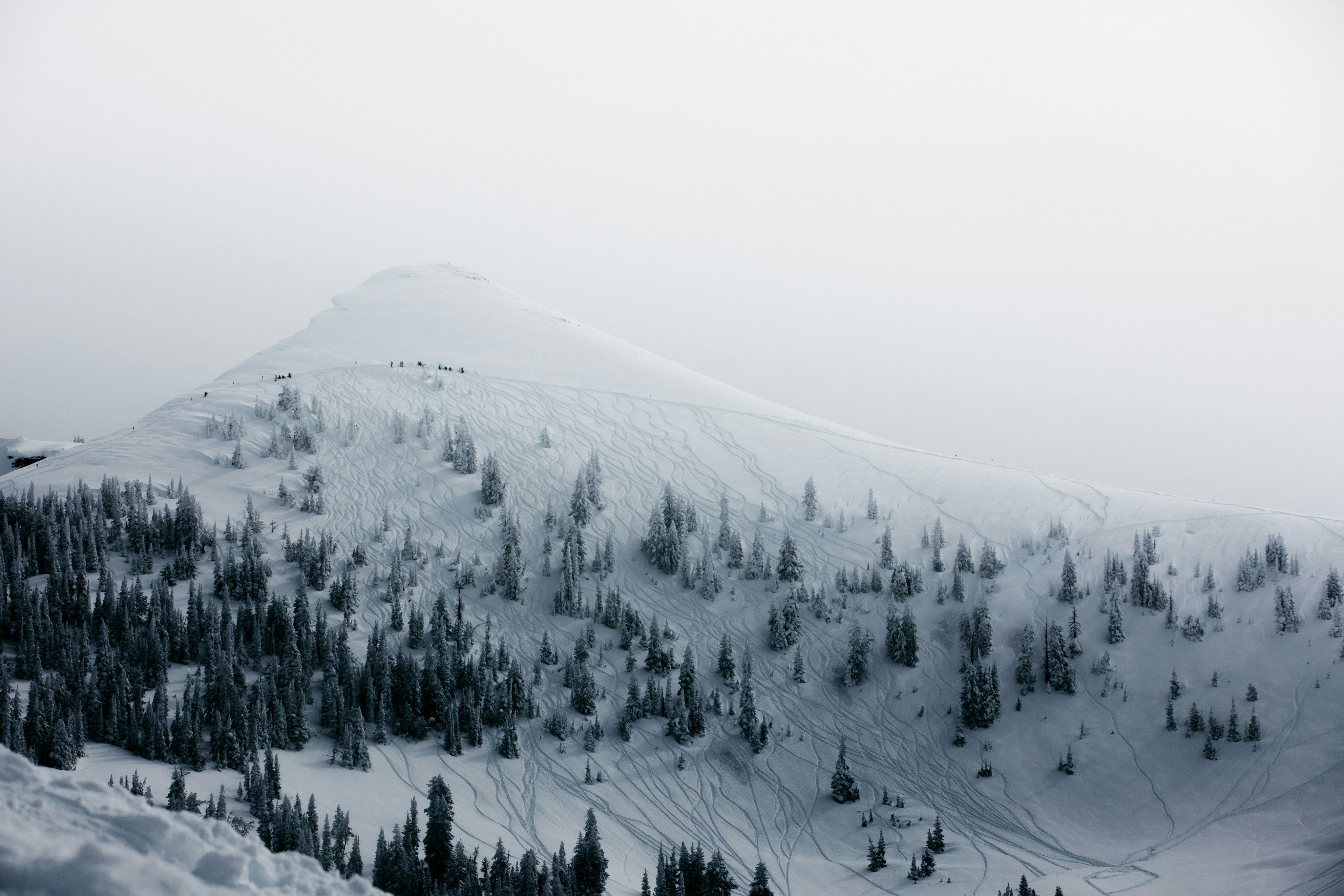 Snow-covered mountain terrain with trees at Antelope Butte