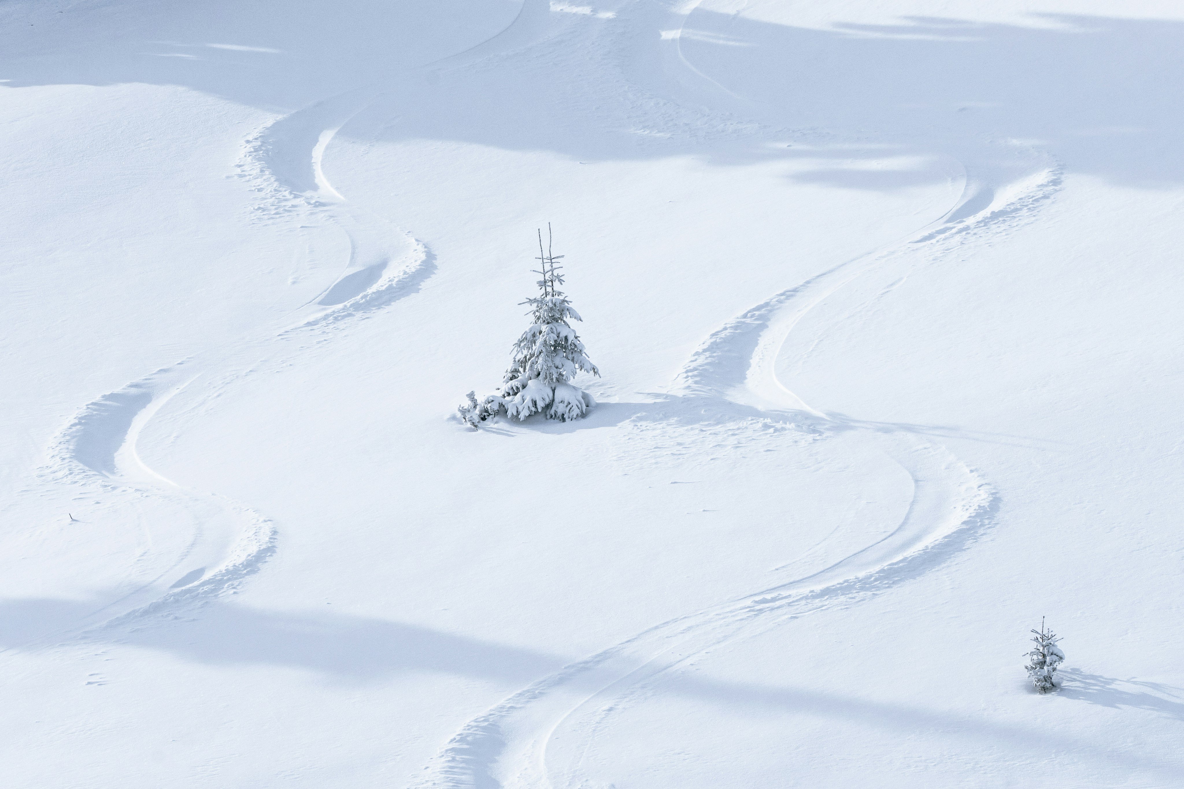 Fresh powder tracks through open terrain after a storm