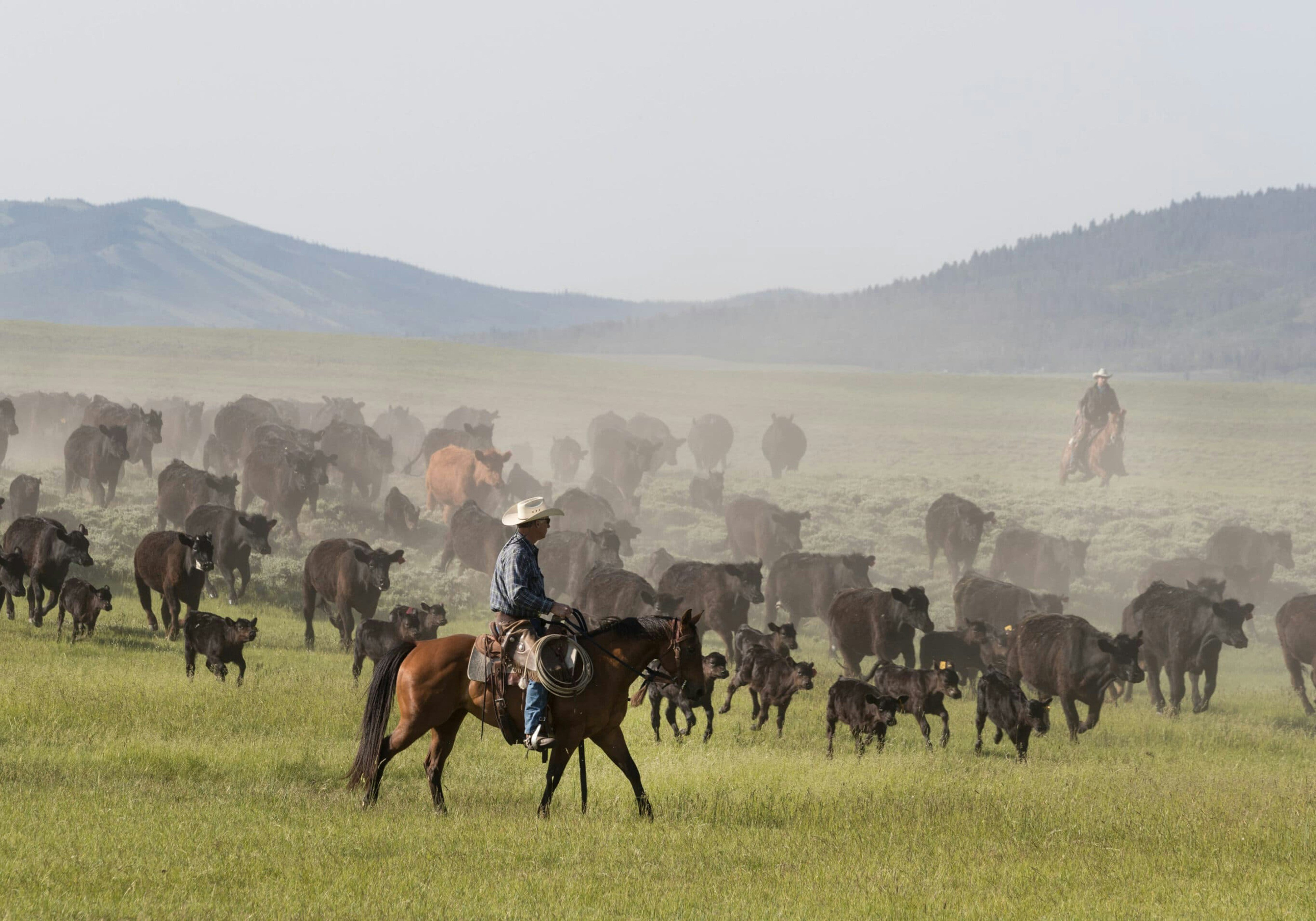 Buffalo, Wyoming: the Occidental Hotel and Clear Creek Trail