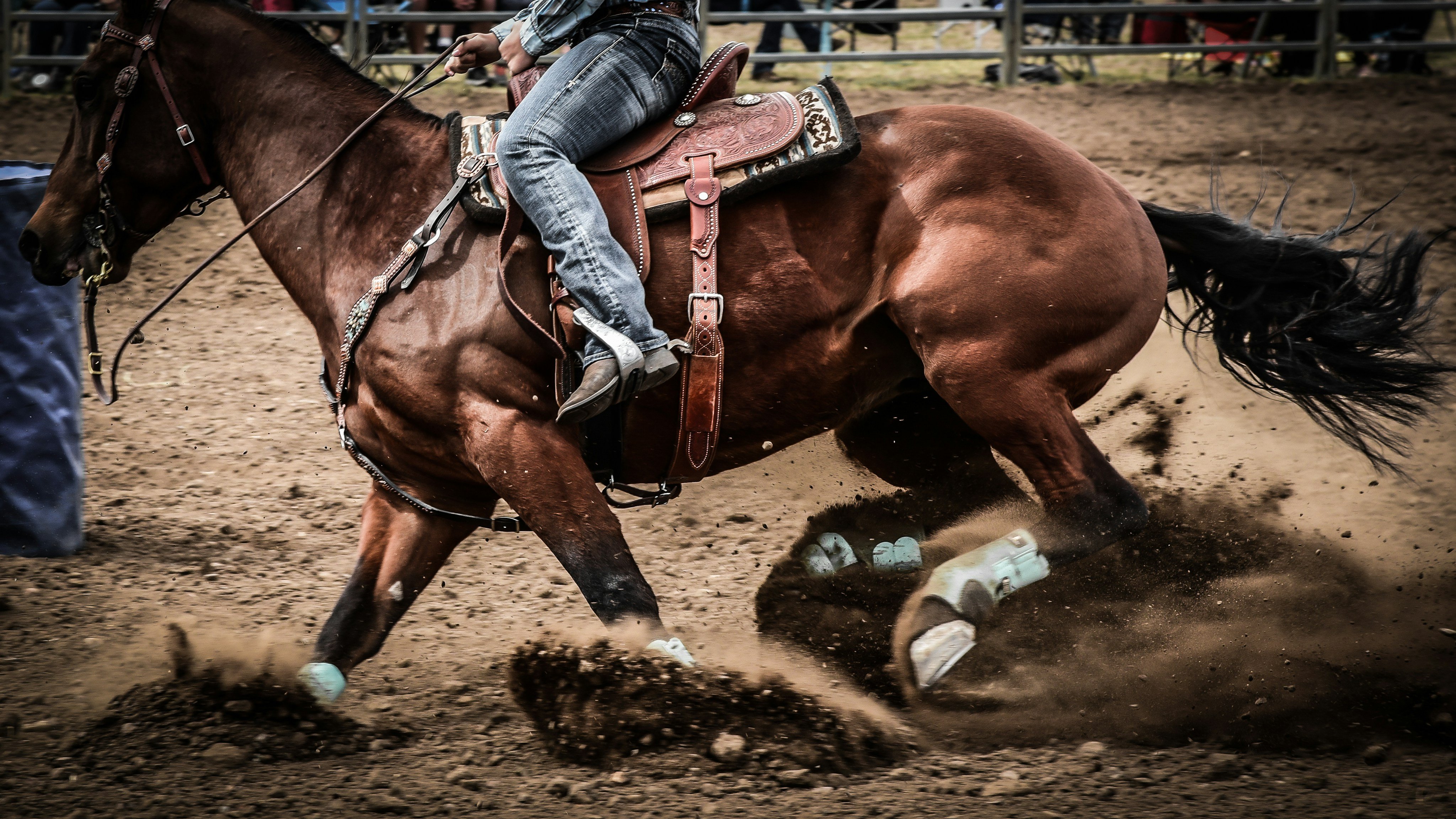 Barrel racer making a tight turn in the arena, dirt flying, Sheridan WYO Rodeo