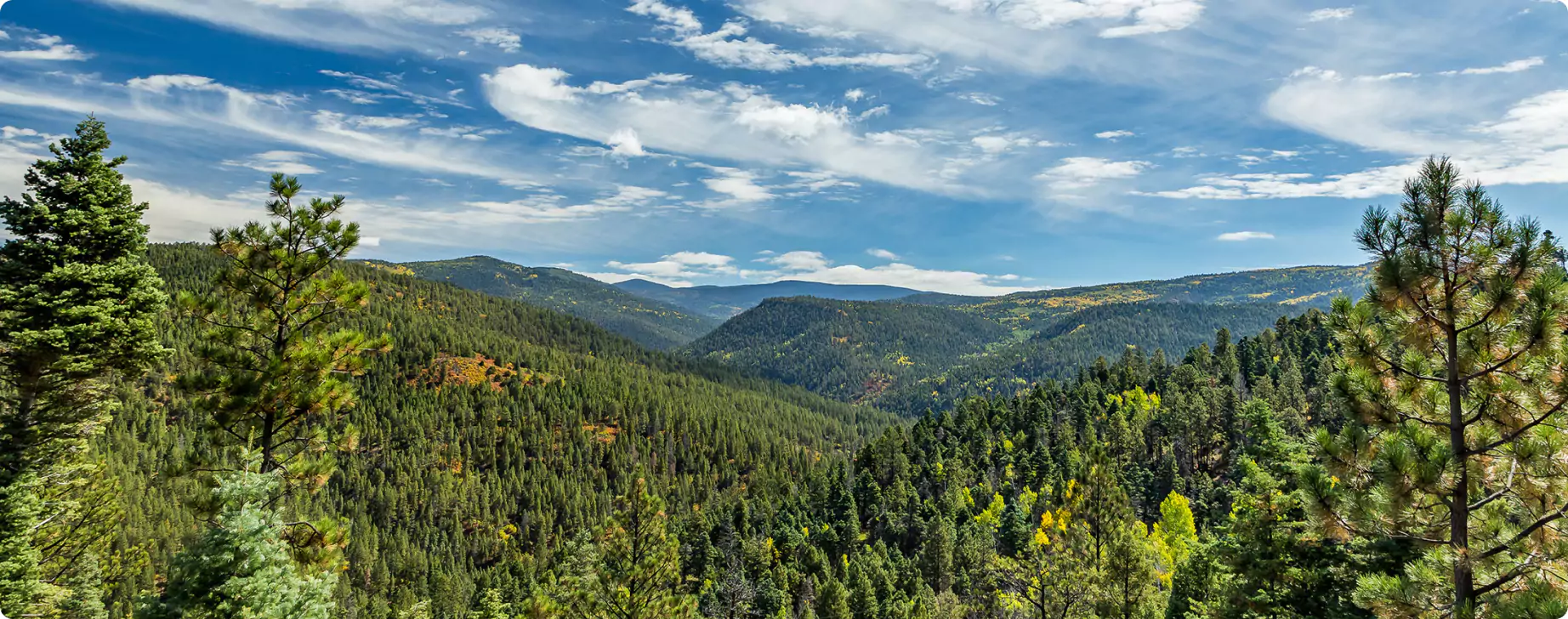 Abode Panorama