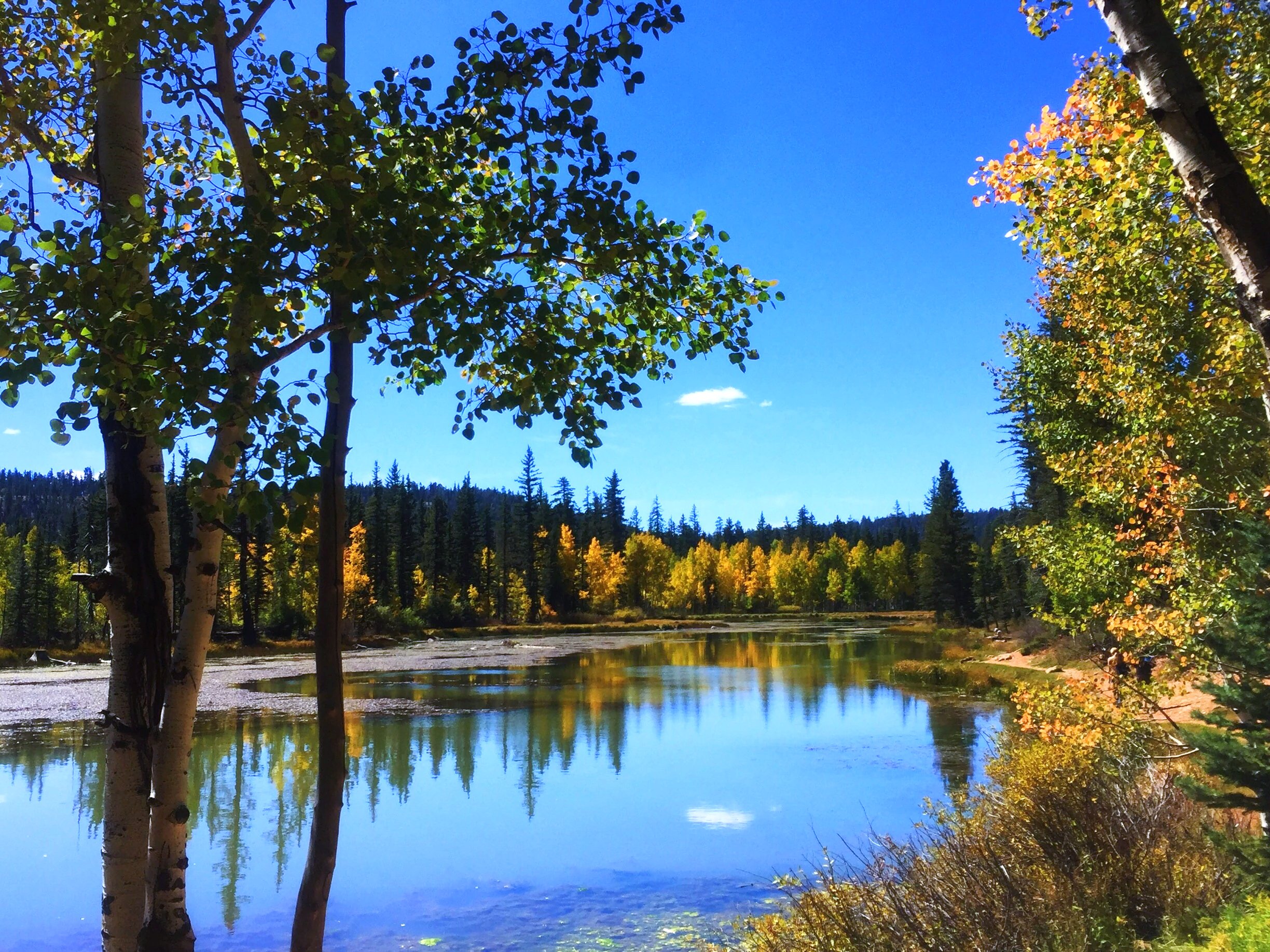 Duck Creek summer