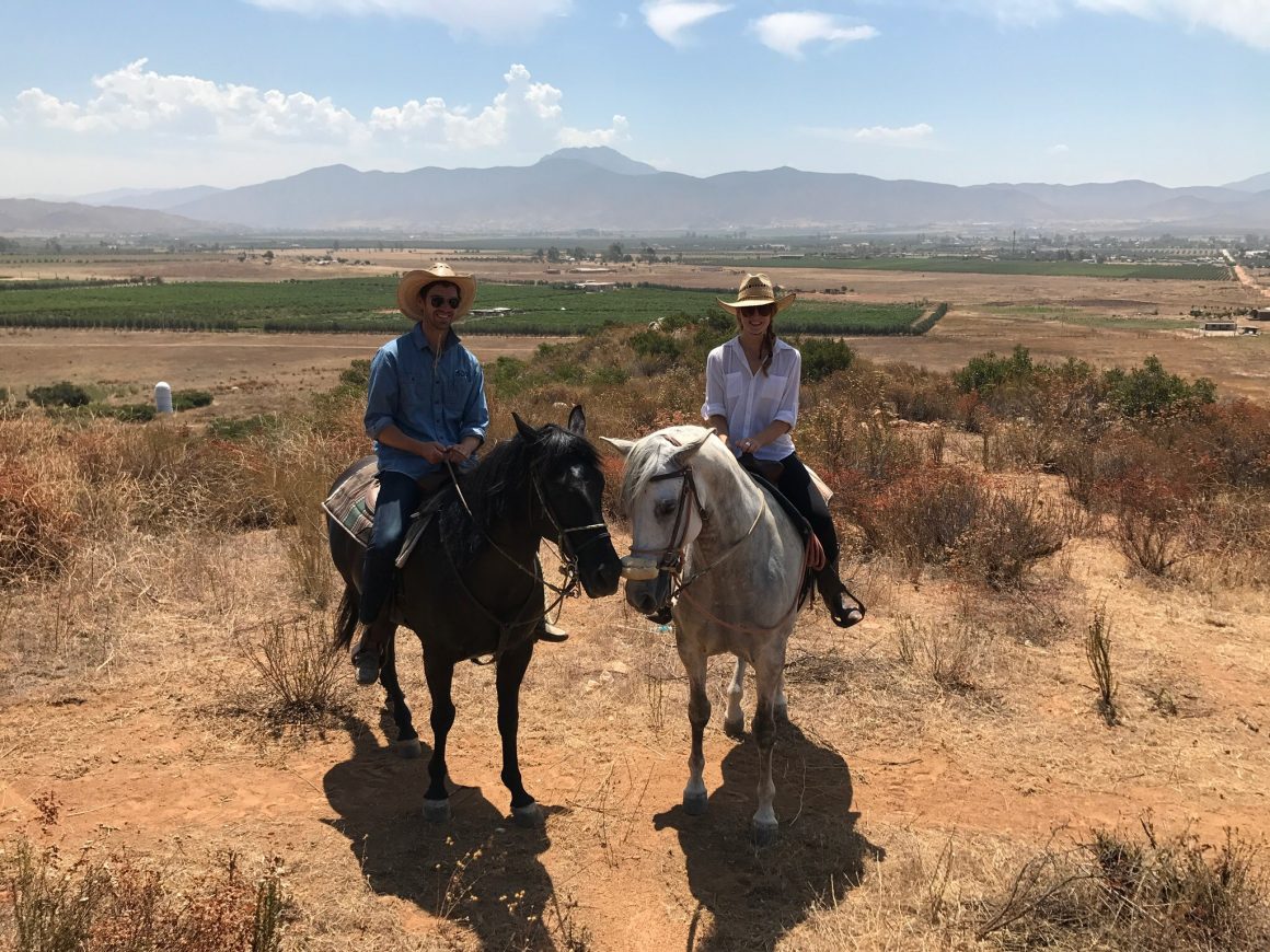 Horseback Riding Through the Vineyards