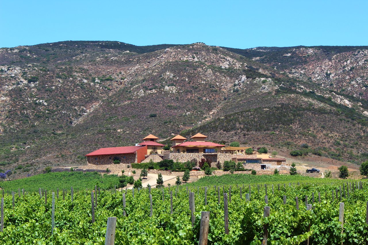 The 5 Best Wineries and Restaurants in Valle de Guadalupe: A Culinary and Oenological Paradise