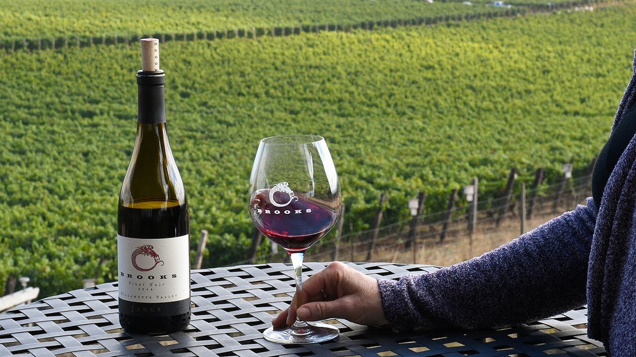 Vineyards & Wineries