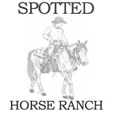 Horseback Riding