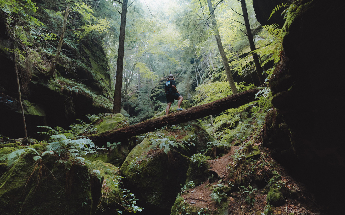 State Parks Hero Conkles Hollow