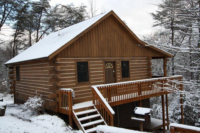 hemlock1
