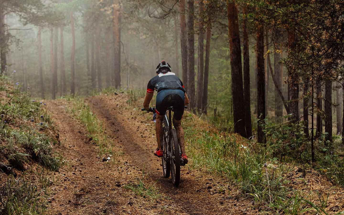 Bicycling In Hocking Hills