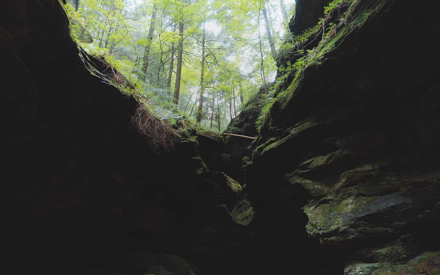 State Parks Hero Cantwell Cliffs
