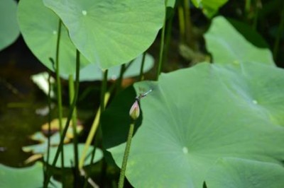 image002